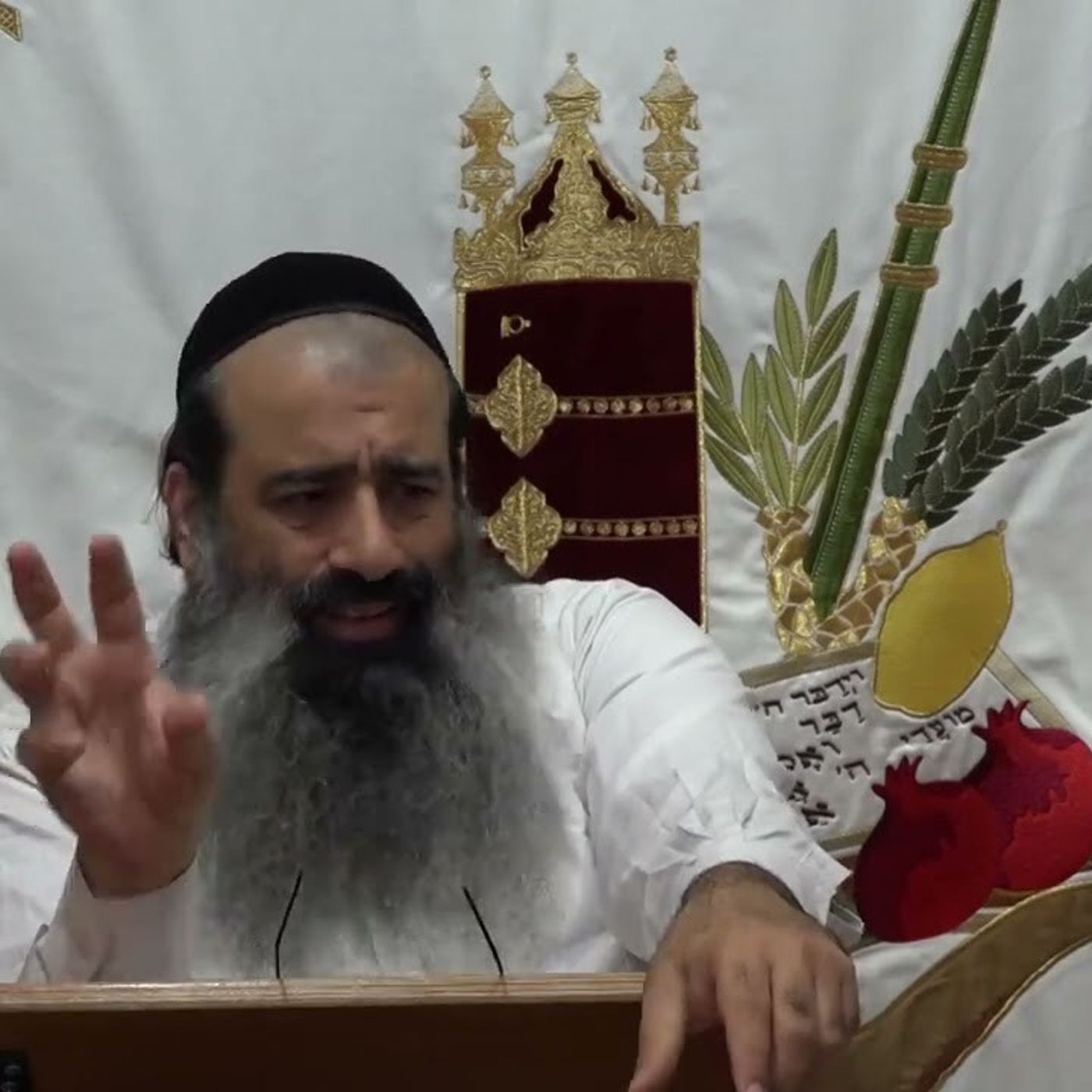 "הגולגולתא" רצון הרצונות | "תומר דבורה" שיעור 4 "Tomer Devorah"