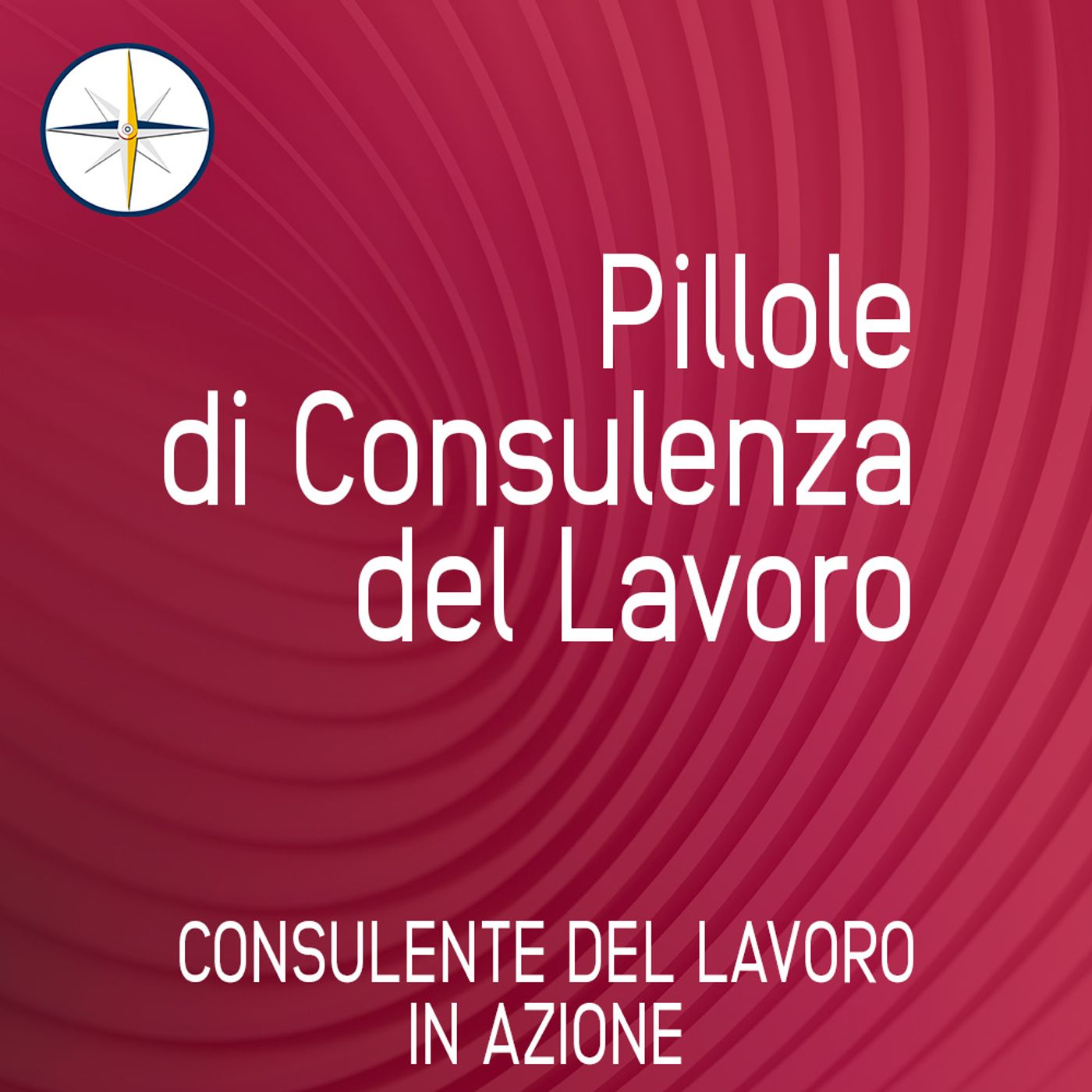 CONSULENTE DEL LAVORO IN AZIONE