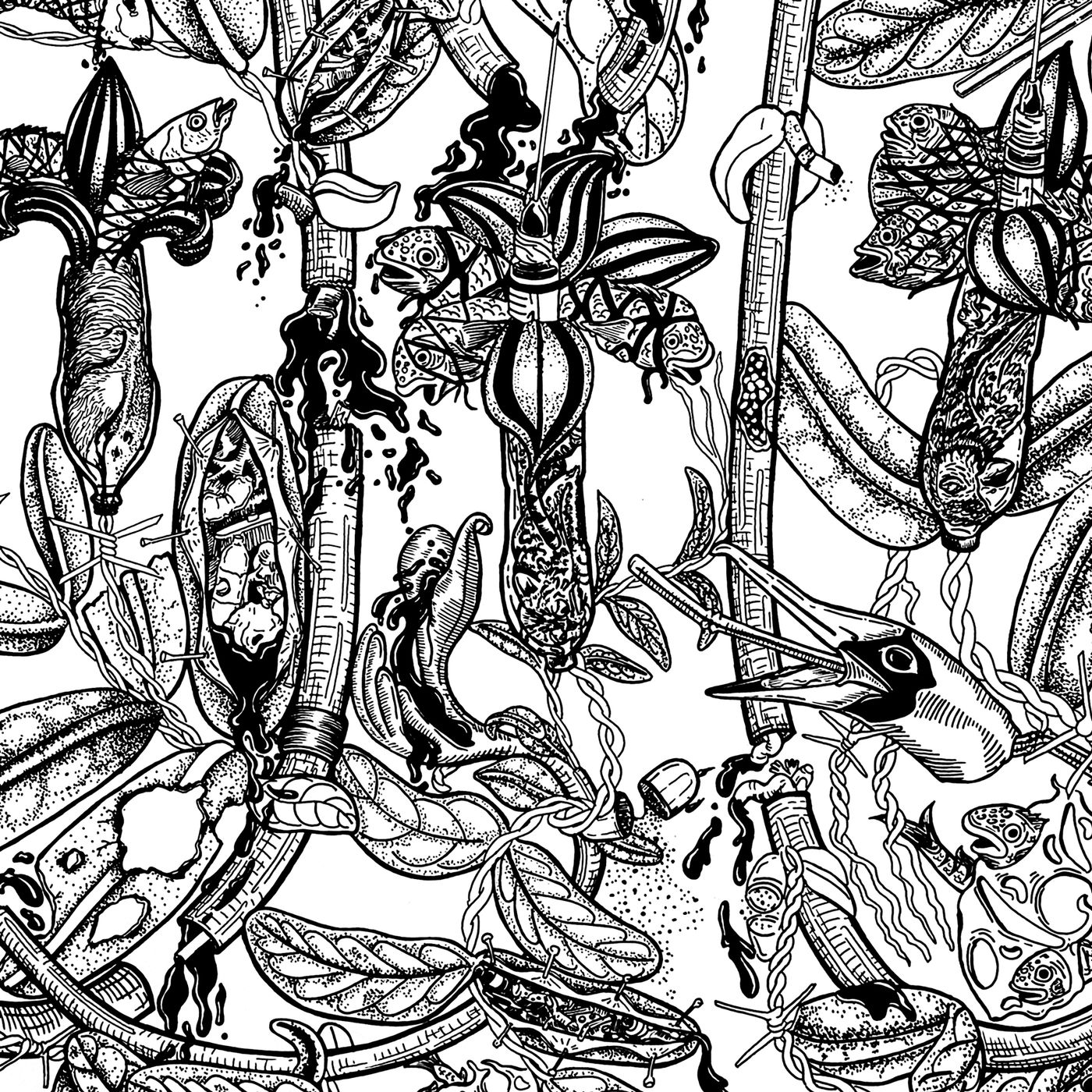Peleas de canarios: ¿cultura o negocio ilegal?