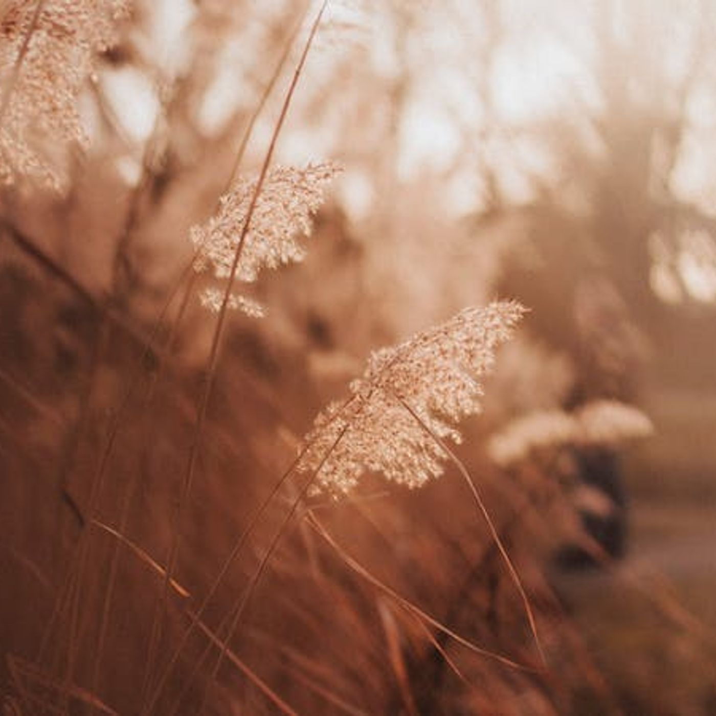 What’s Stopping You from Coming to Christ?