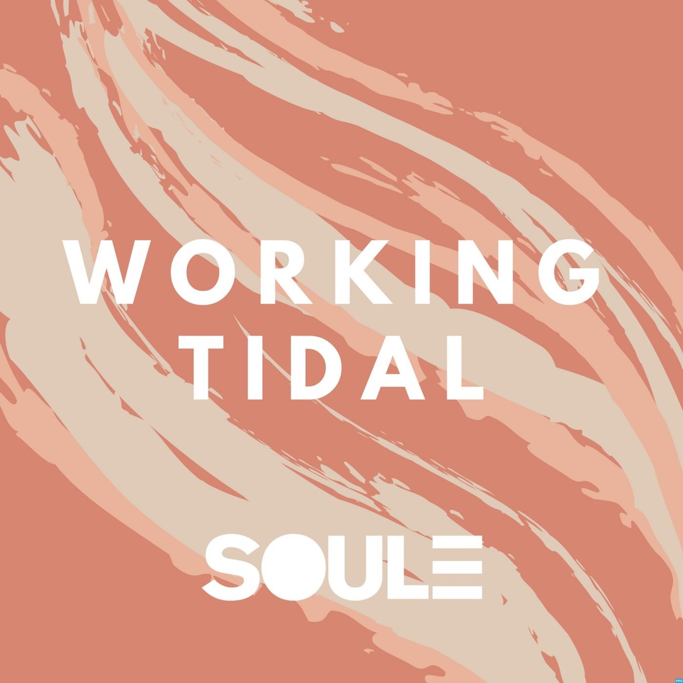 SOULE Presents: Working Tidal podcast artwork