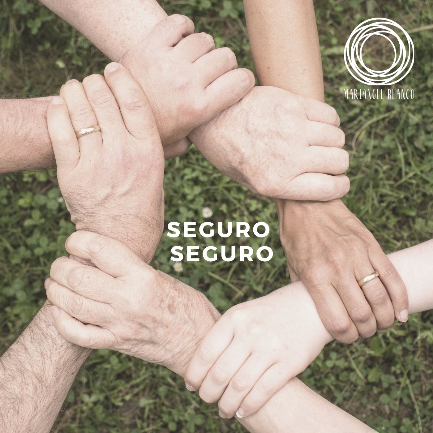 Seguro Seguros