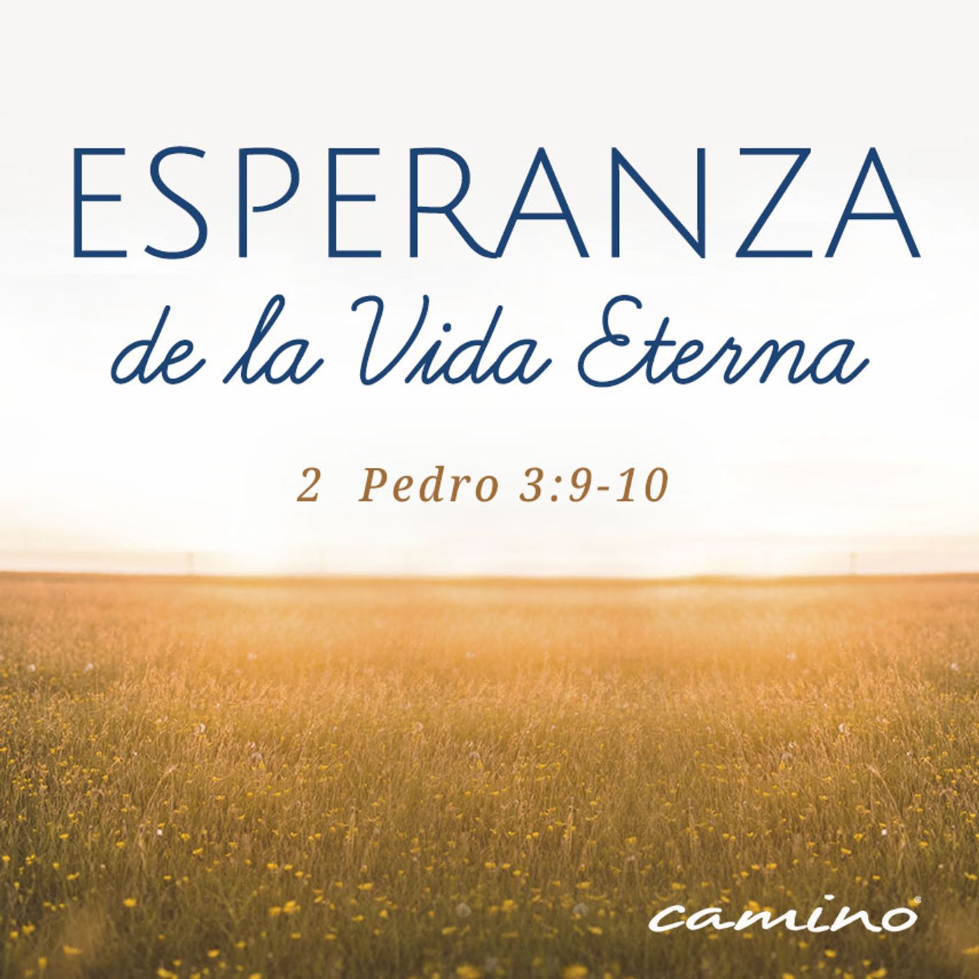 Oración 20 de noviembre (Esperanza de la Vida Eterna) episode artwork