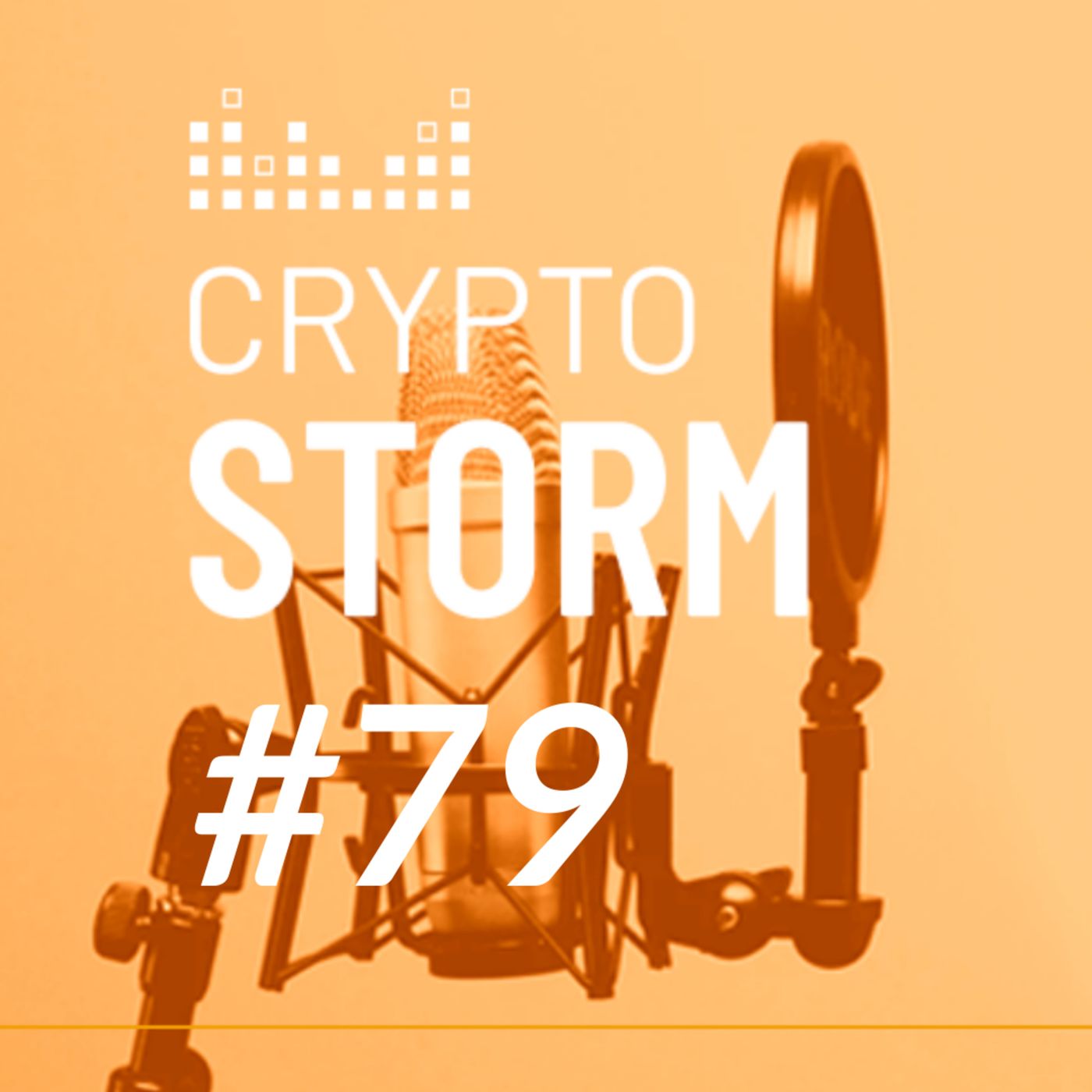 Crypto Storm