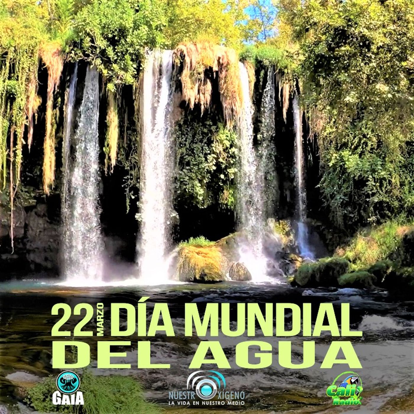 2022 Nuestro Oxigeno 03- Marzo