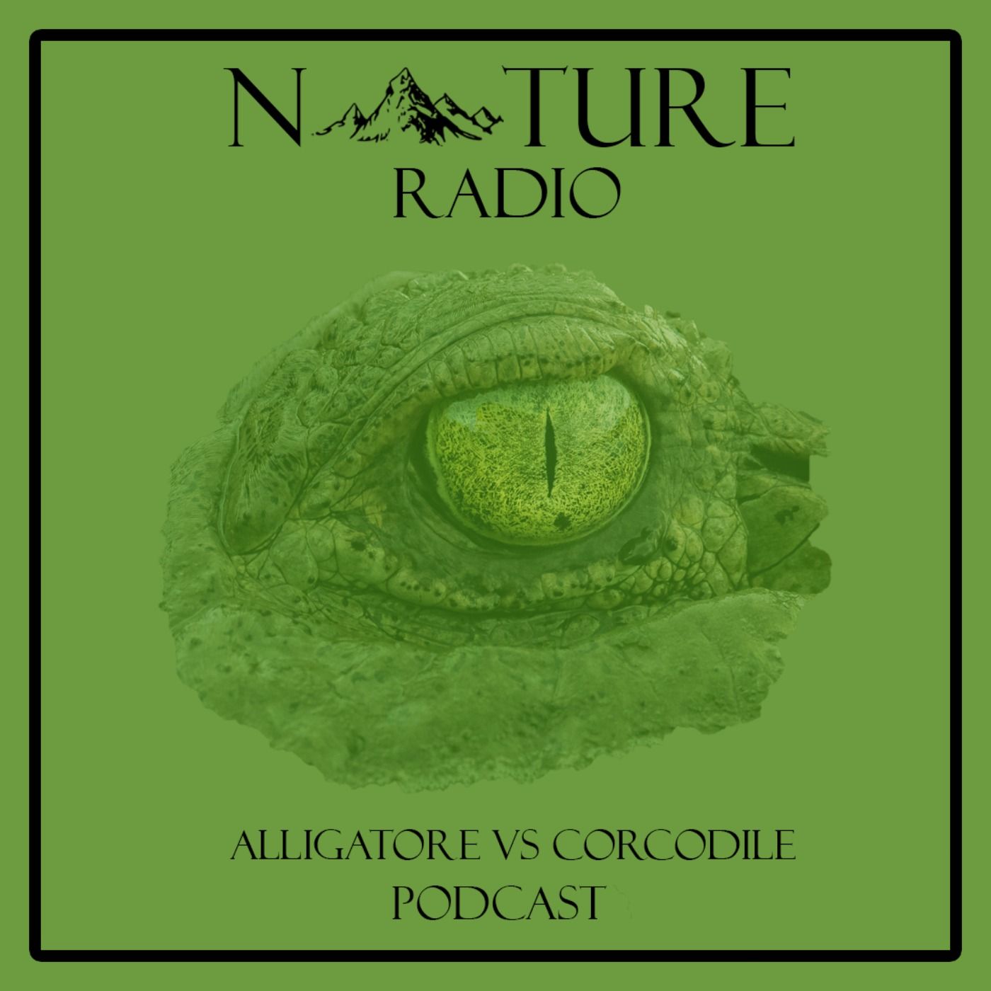 Nature Radio l رادیو طبیعت