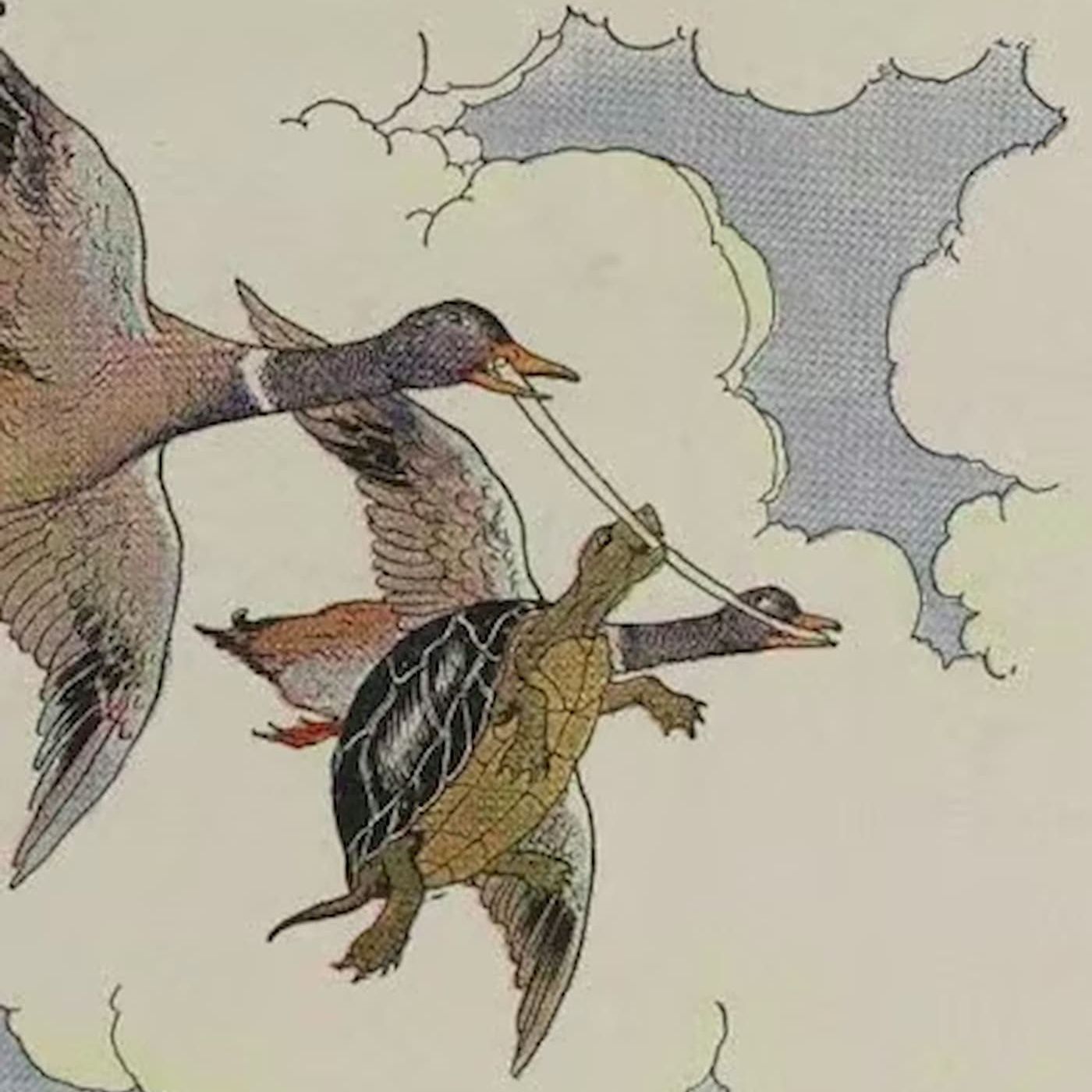 The Tortoise and the Ducks | Aesop Fables episode artwork