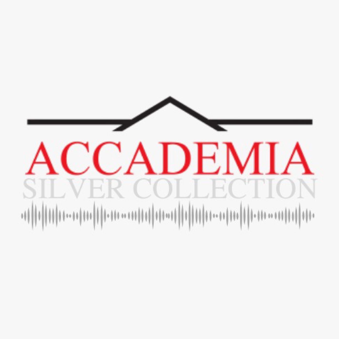 Accademia Silver Collection
