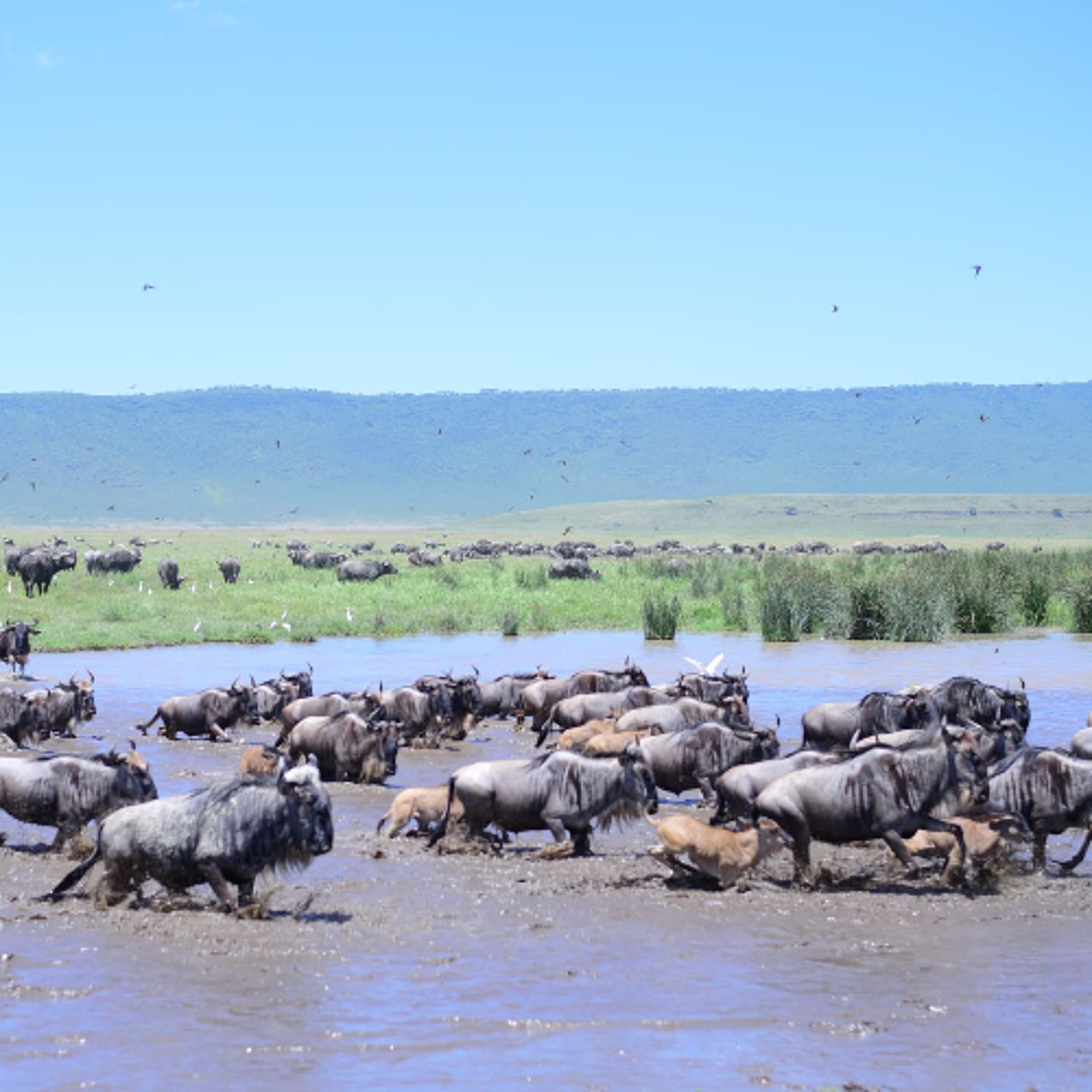 Coping with Climate Change