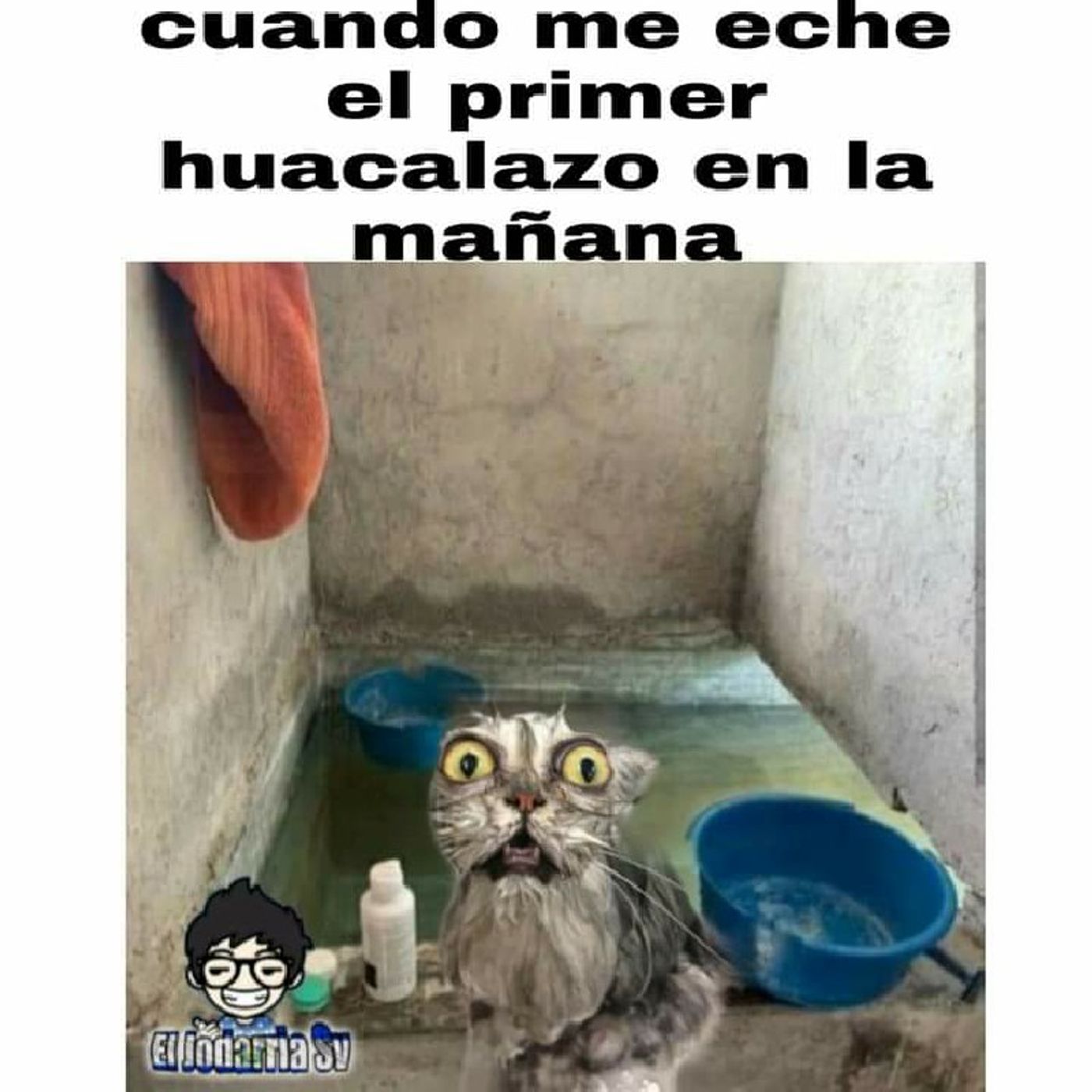 El podcast de Anel Rodriguez
