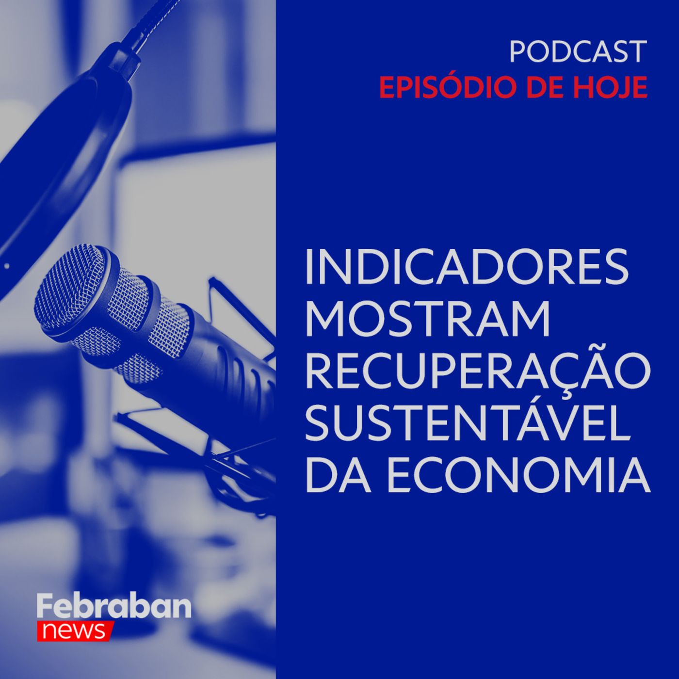 Entrevista Ricardo Gelbaum - Indicadores mostram recuperação sustentável da economia episode artwork