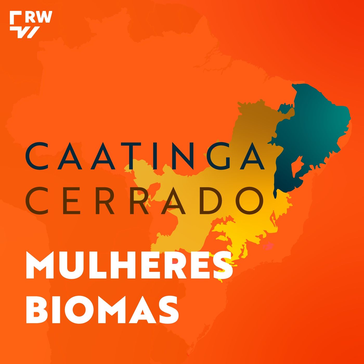 #1 | Mulheres Biomas: a marcha no combate à violência doméstica do Cerrado a Caatinga episode artwork