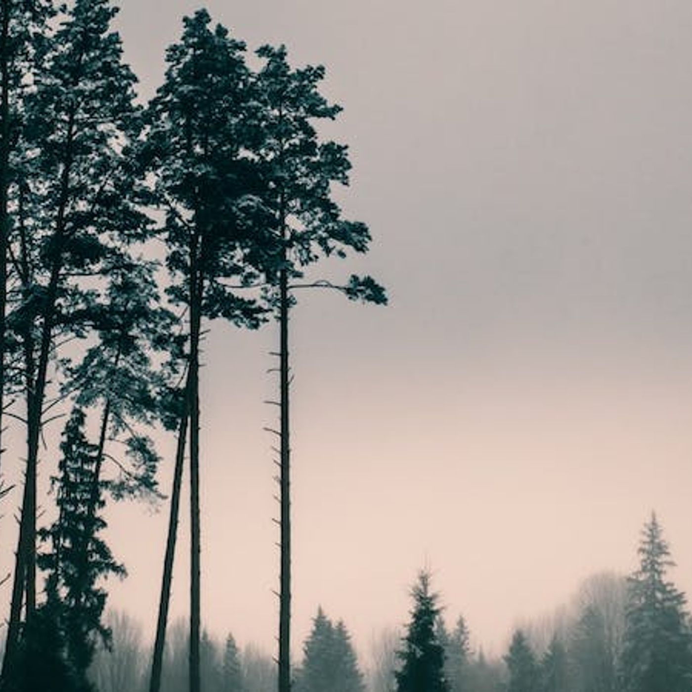 Am I Too Hard on Myself?