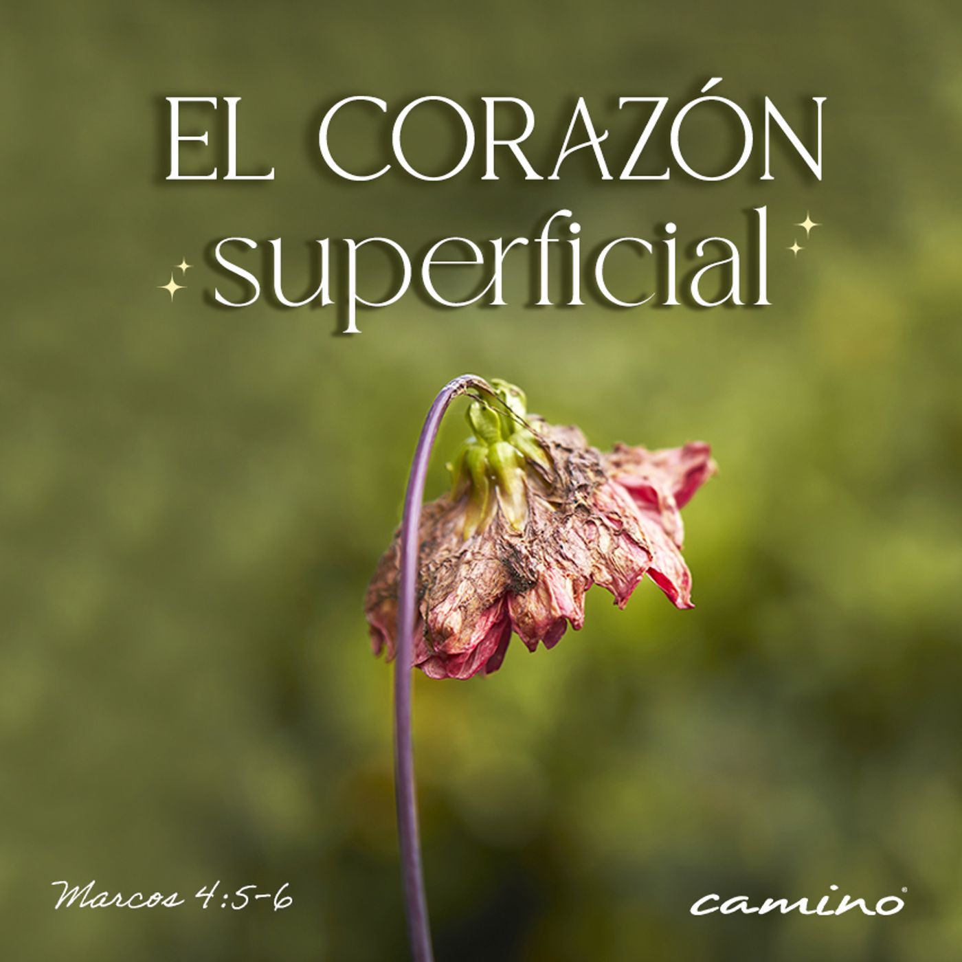 Oración 2 de junio (El corazón superficial) episode artwork