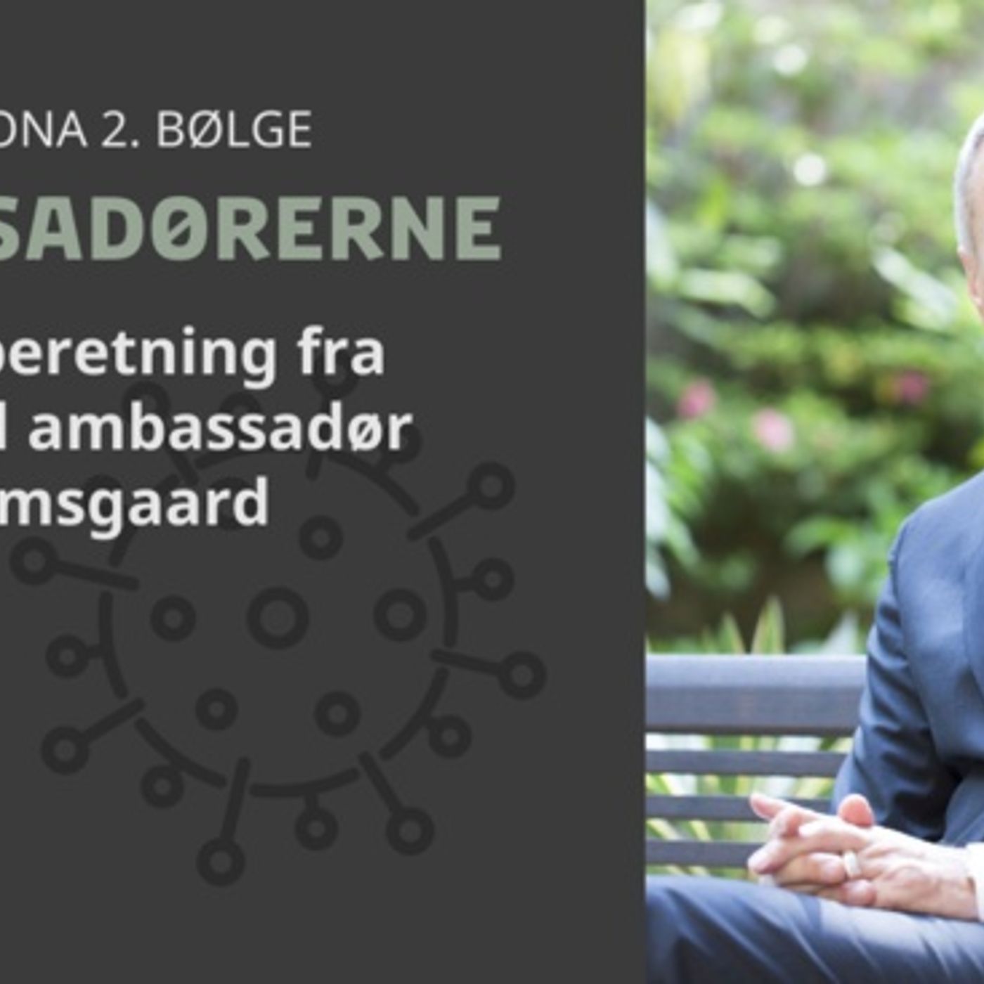 Ambassadørerne