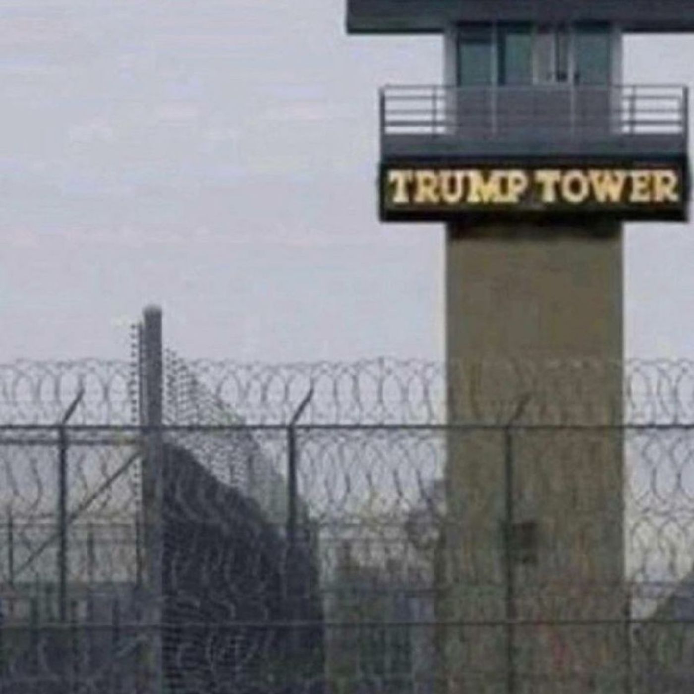 Eric van de Luijtgaardens podcasts