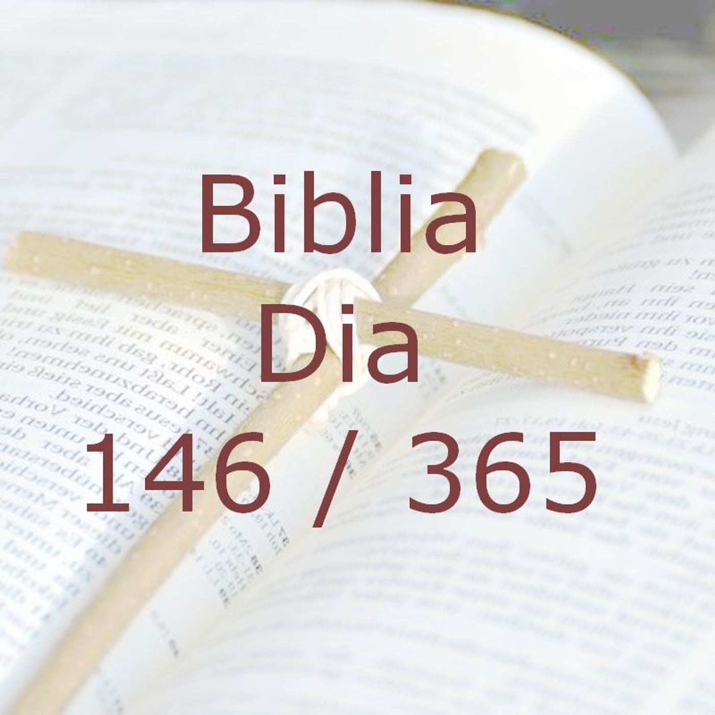 La Biblia en 365 dias