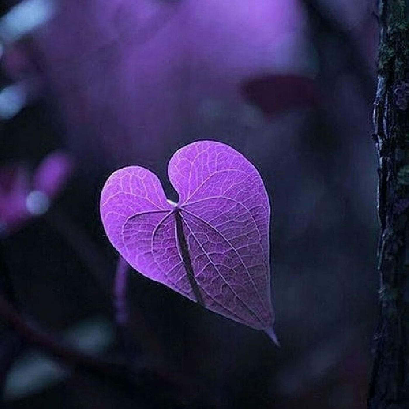 Faith, Hope And Trust thumbnail