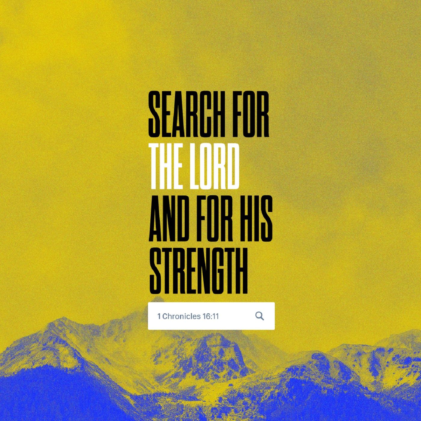 The Verse of The Day!