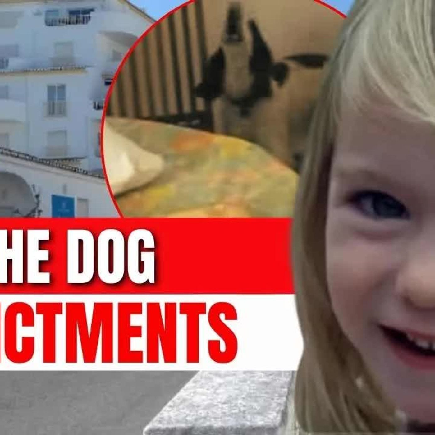 MADELEINE ON NETFLIX What Is The MOST Overlooked and Underestimated Evidence in the McCann Case？ episode artwork