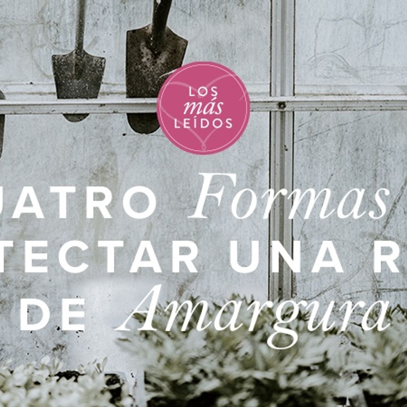 Portada de Mujer Verdadera