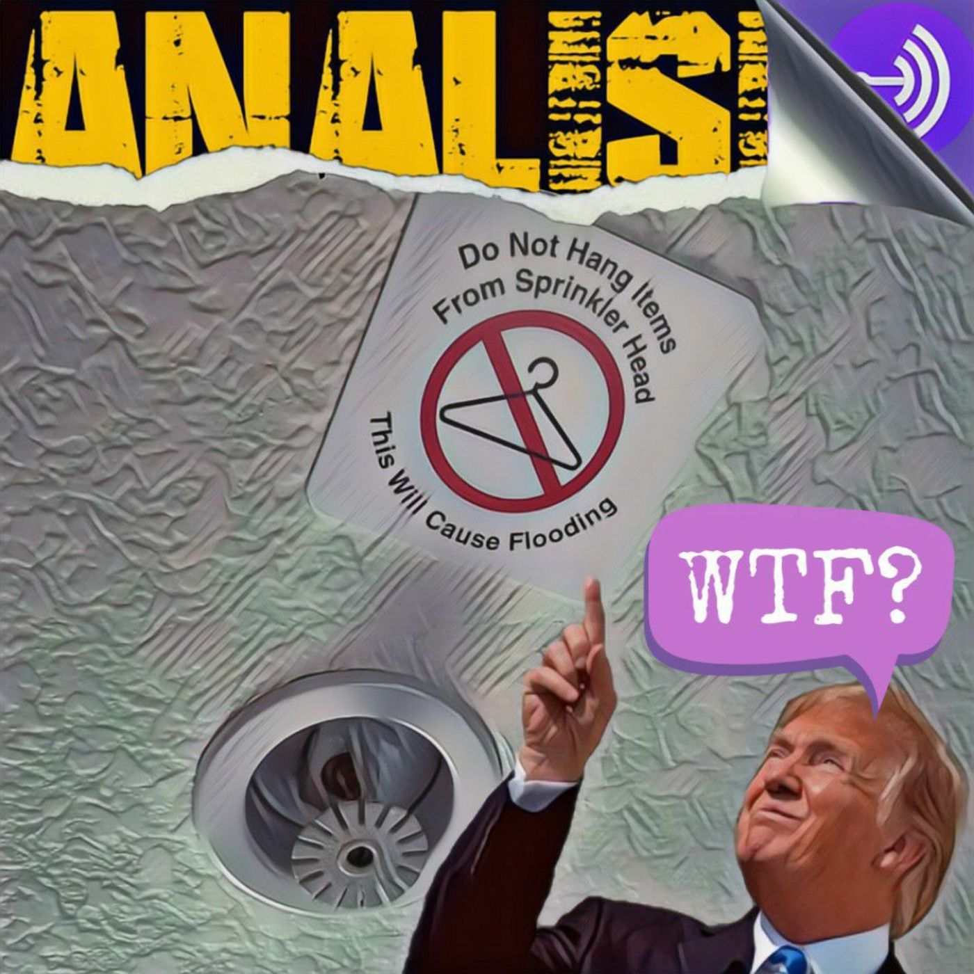 ANALISIS PELLEJUDOS (Not a daily)