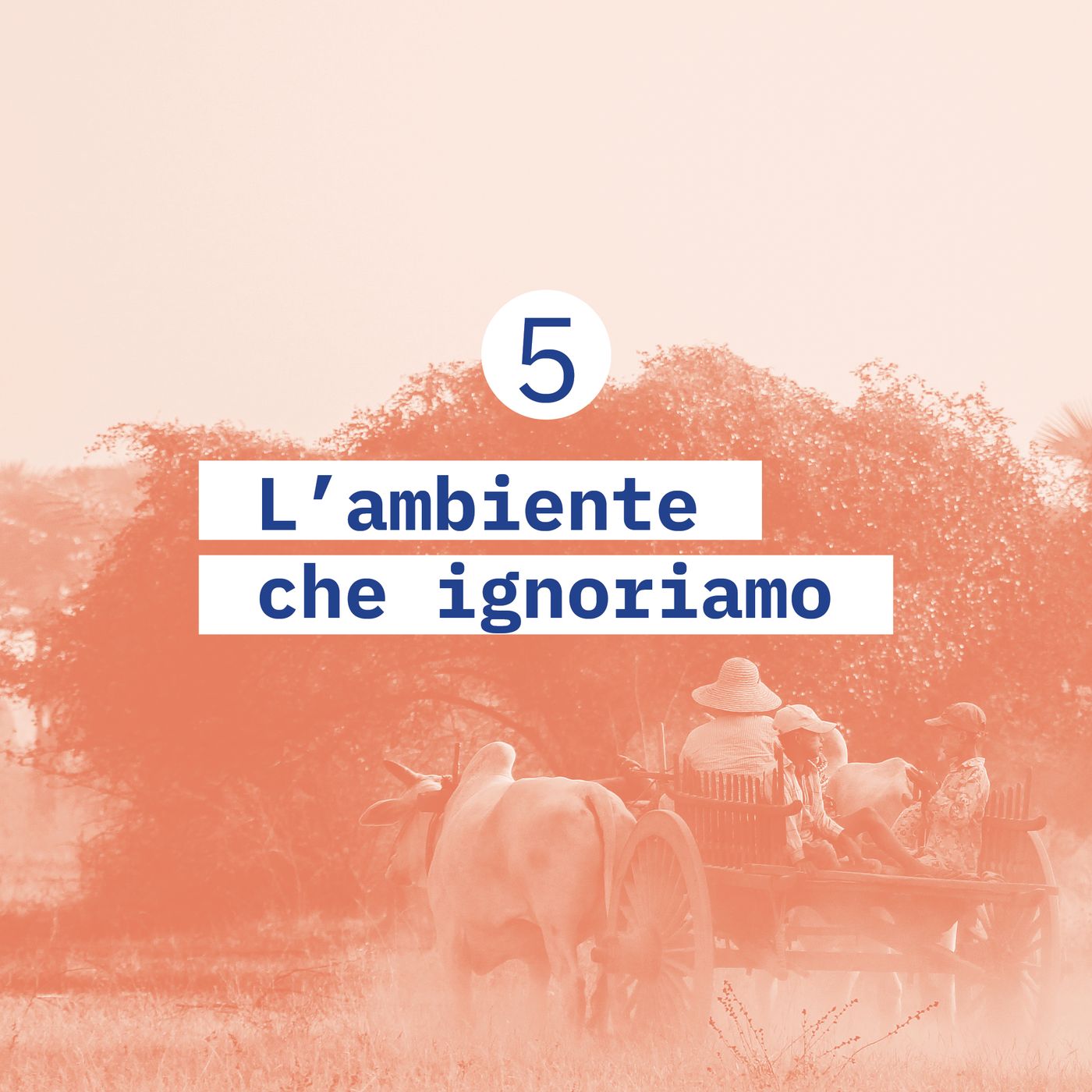 5. L'ambiente che ignoriamo