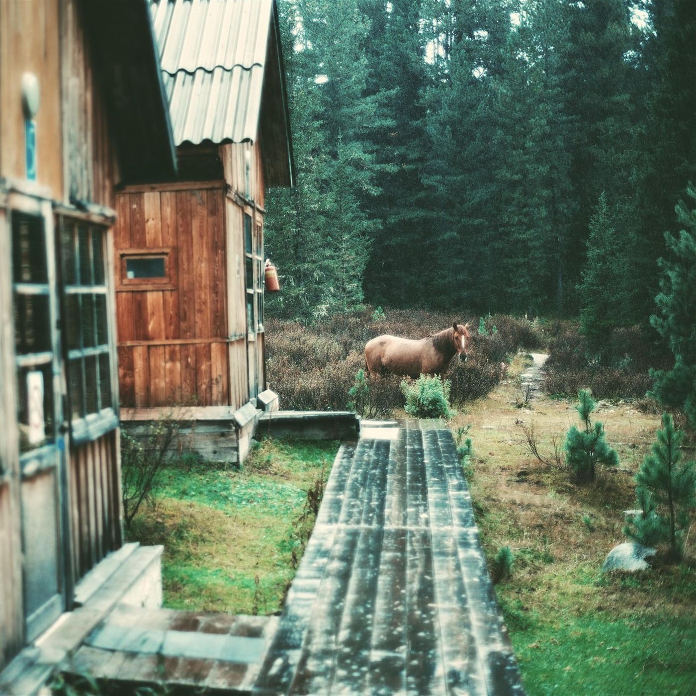 Sleep Sounds by Tmsoft