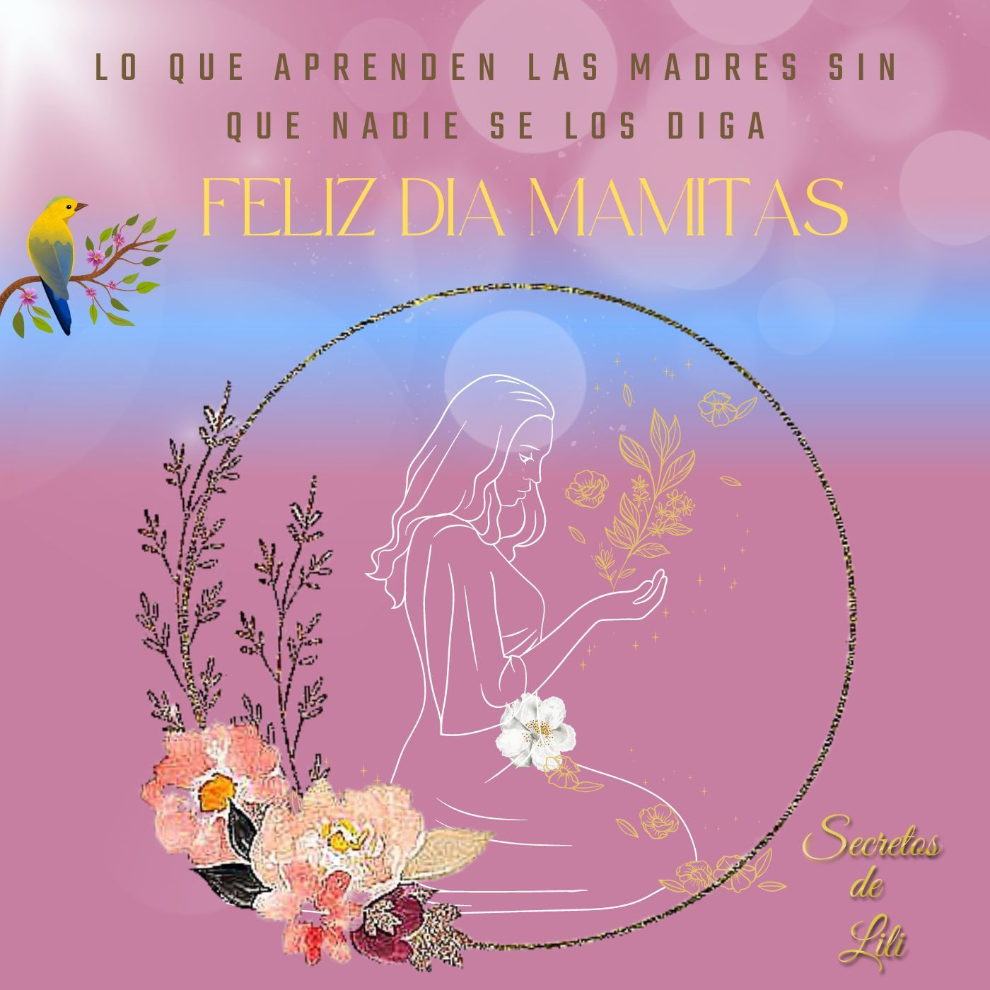 Secretos de LiLi