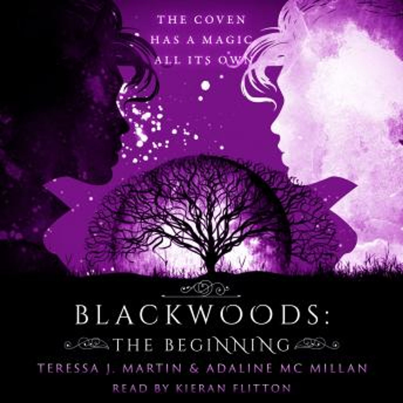 Listen to Latest Full Audiobooks in Fiction, Action & Adventure
