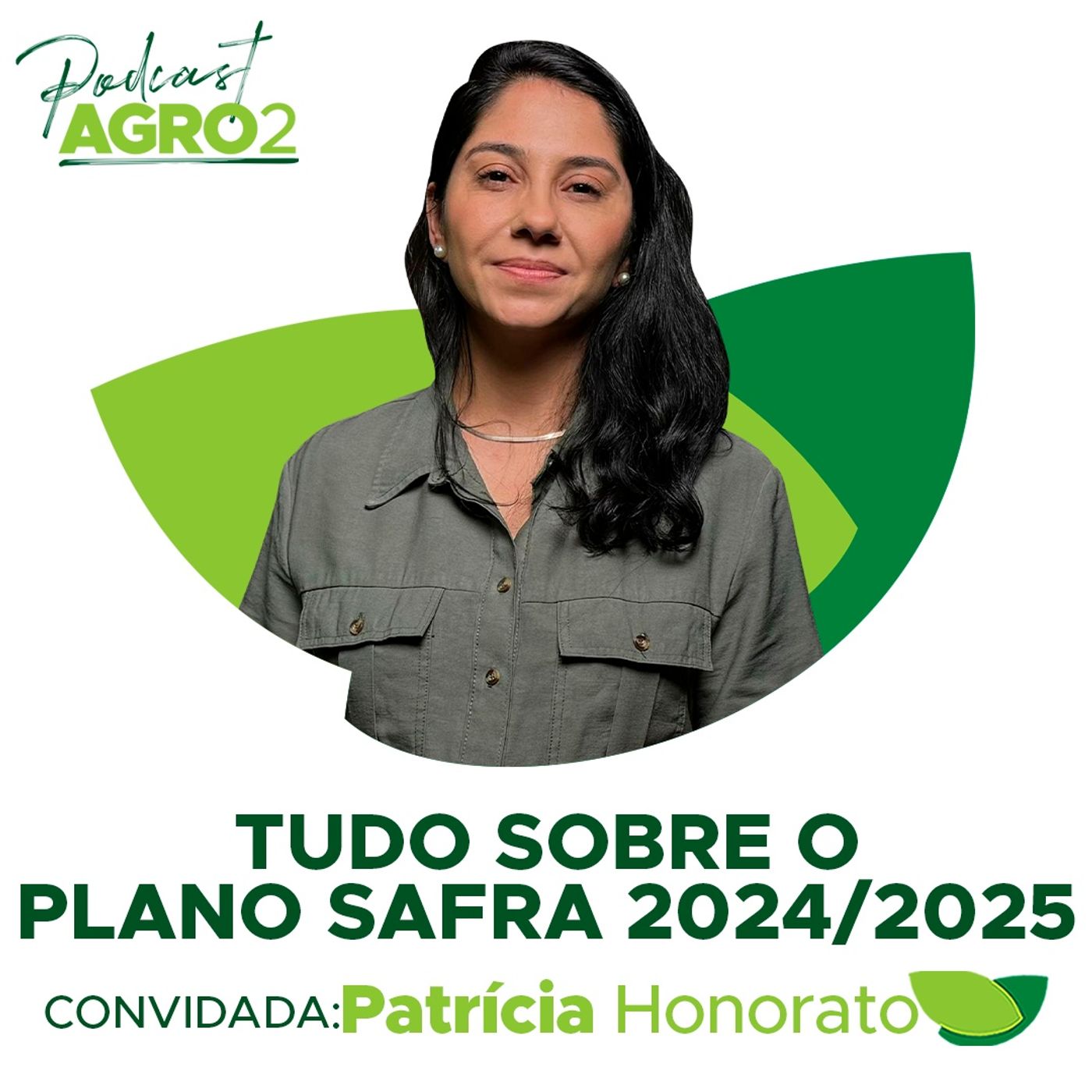 Tudo sobre o Plano Safra 2024/2025 #302 episode artwork