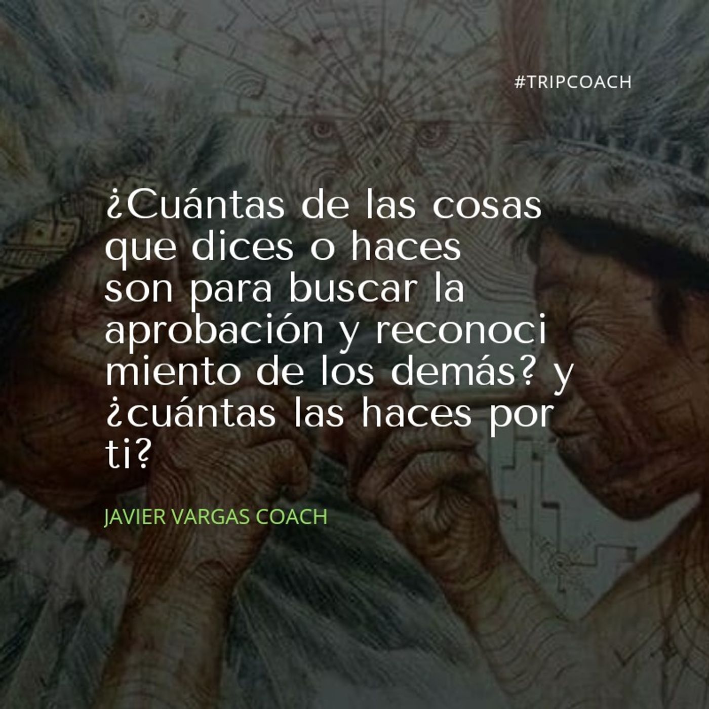 Experiencias de café by Francisco Vargas