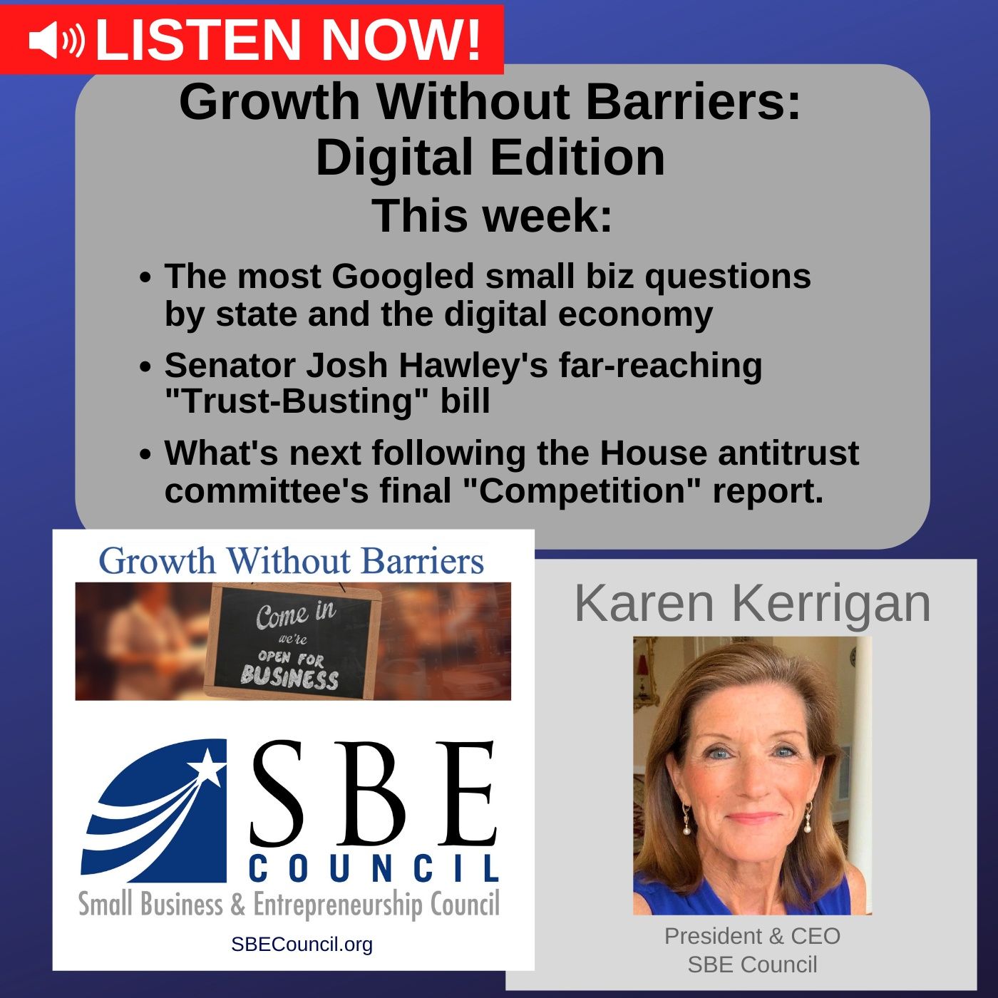 Growth Without Barriers - DIGITAL EDITION: Sen. Josh Hawley's "Trust-Busting" bill & House antitrust committee's final report. episode artwork