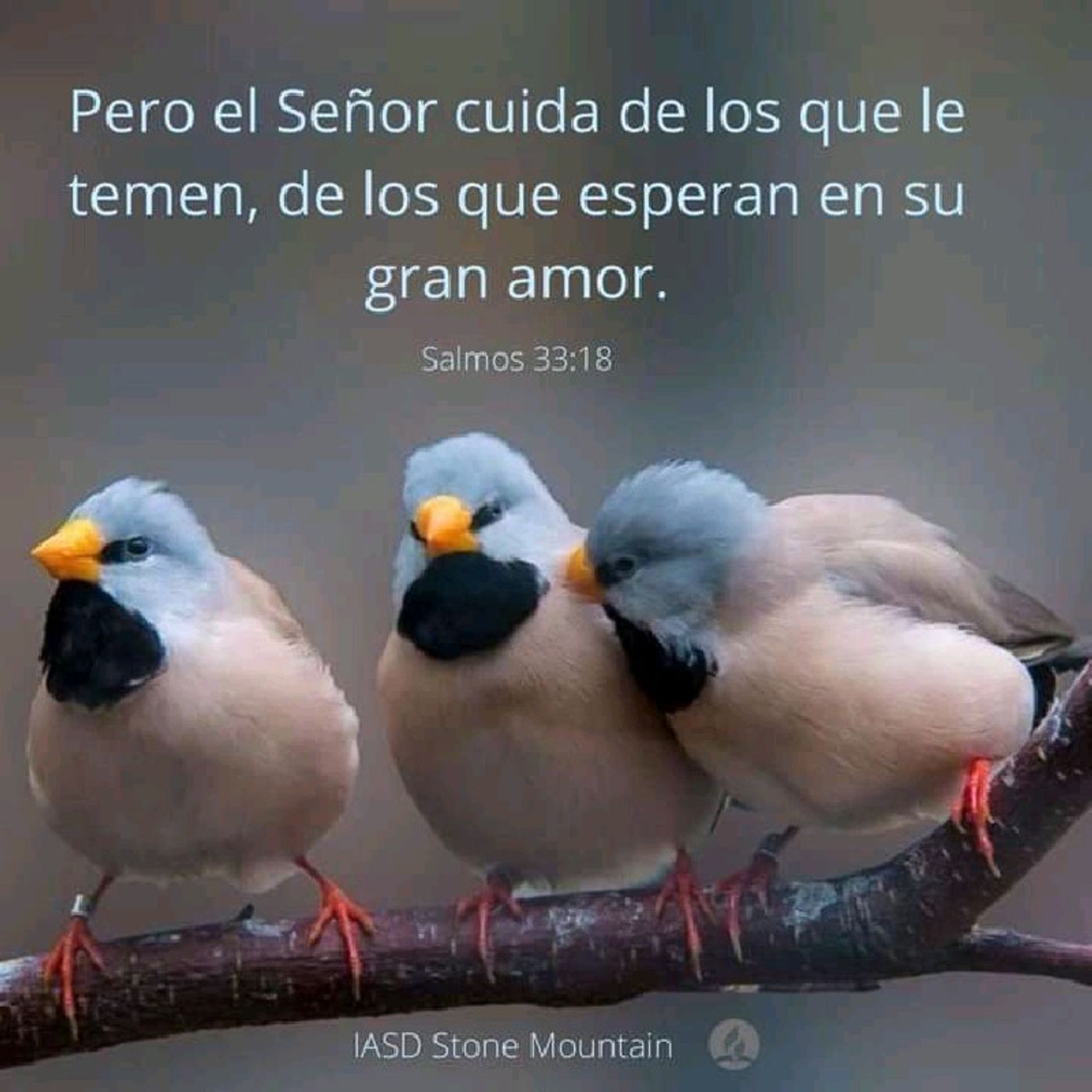 Conectados Con Jesús 🙏😇🌄