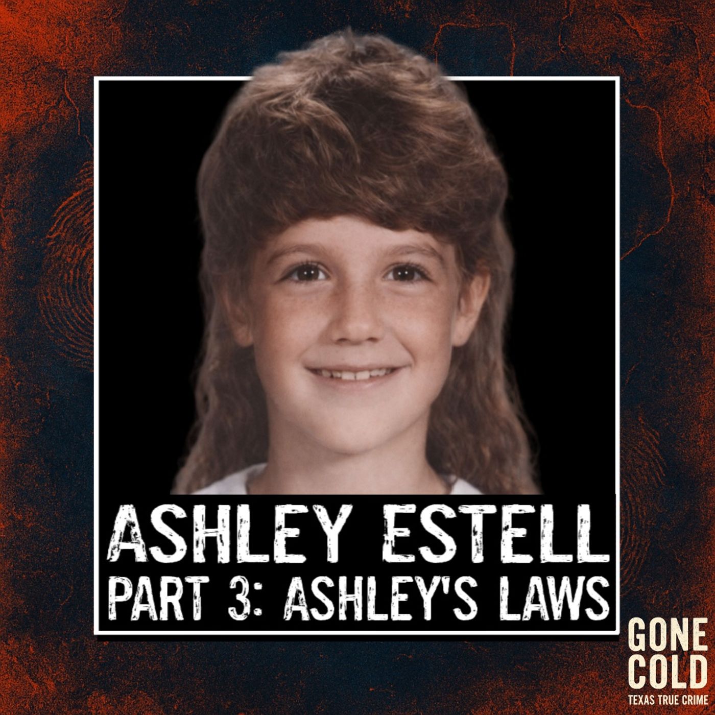 The Abduction & Murder of Ashley Estell Part 3: Ashley’s Laws 