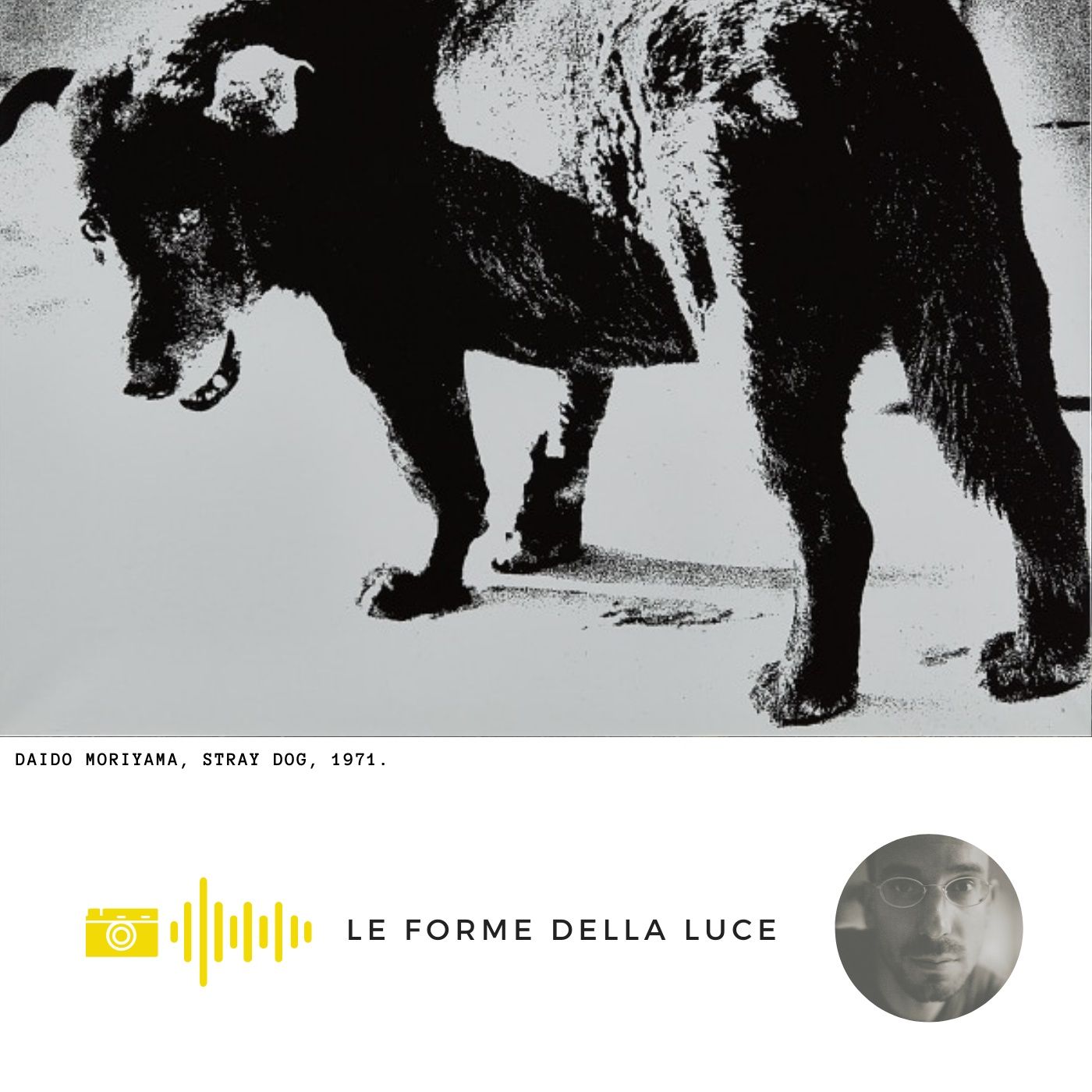 Le Forme della Luce | Fotografia