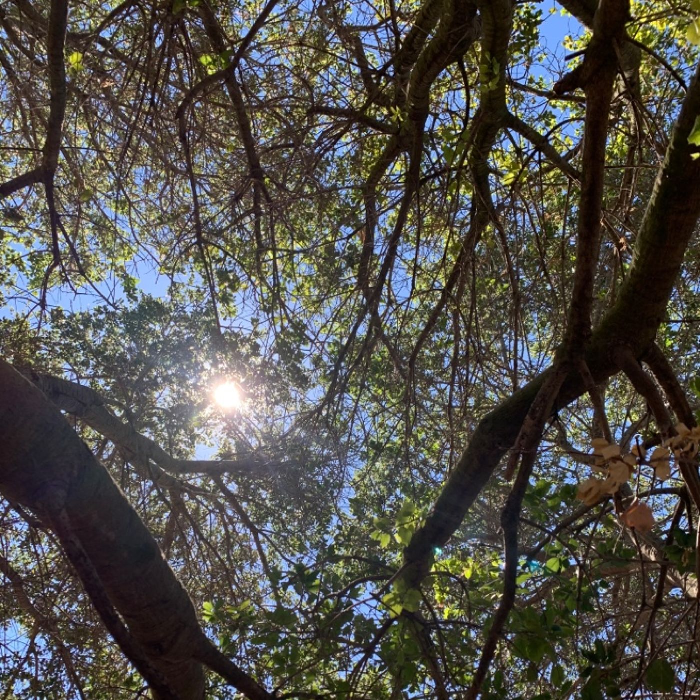 Metaphysical Bible Study