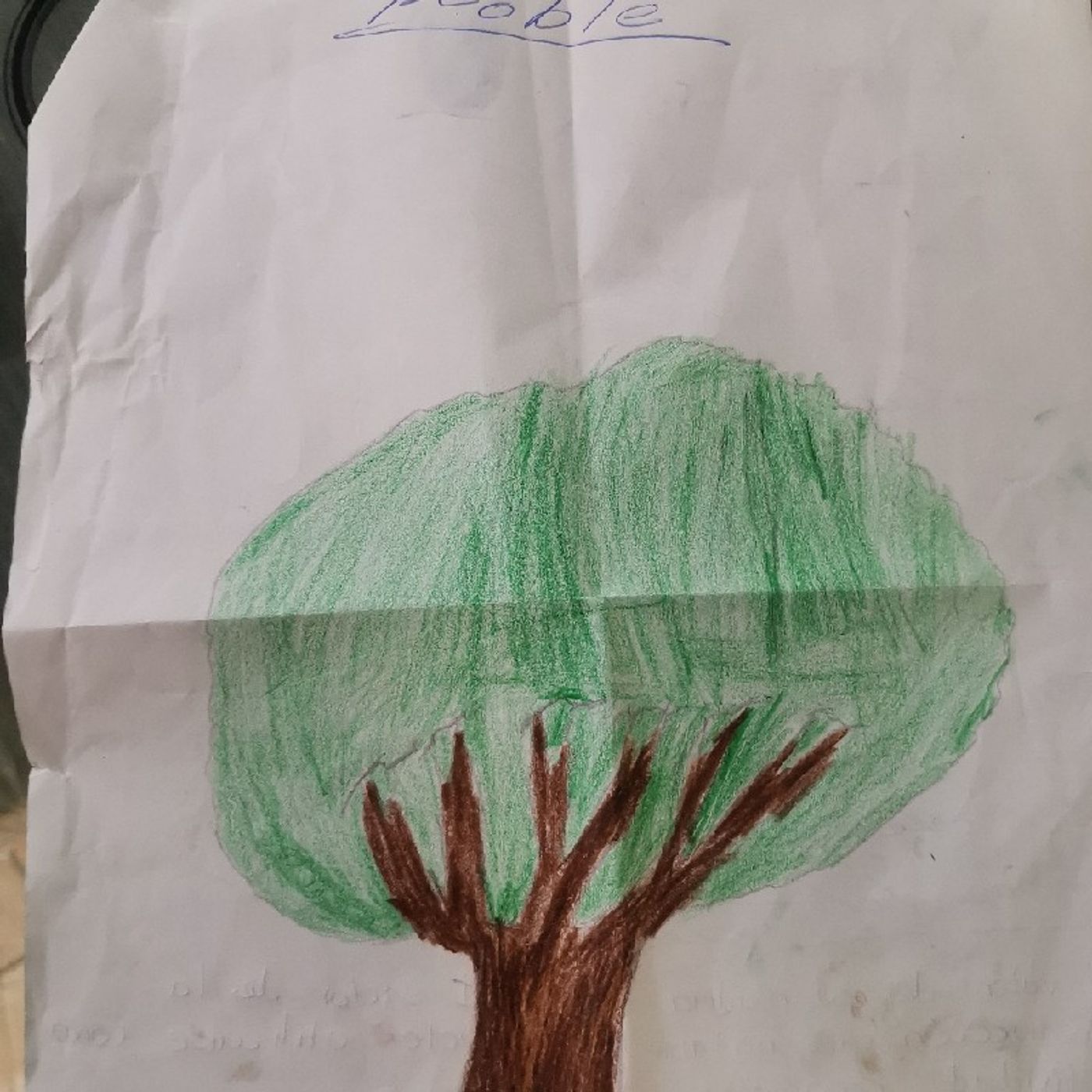El majestuoso árbol de roble!! episode artwork