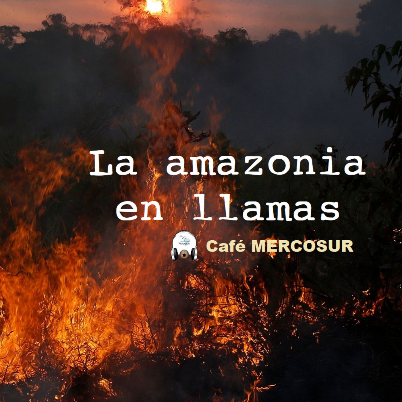 Portada de Café MERCOSUR