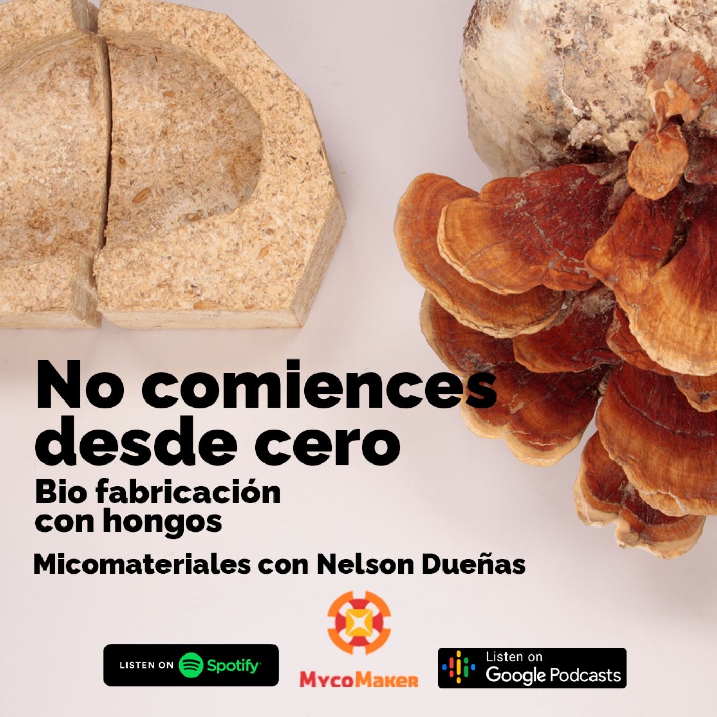 Pasión por los hongos