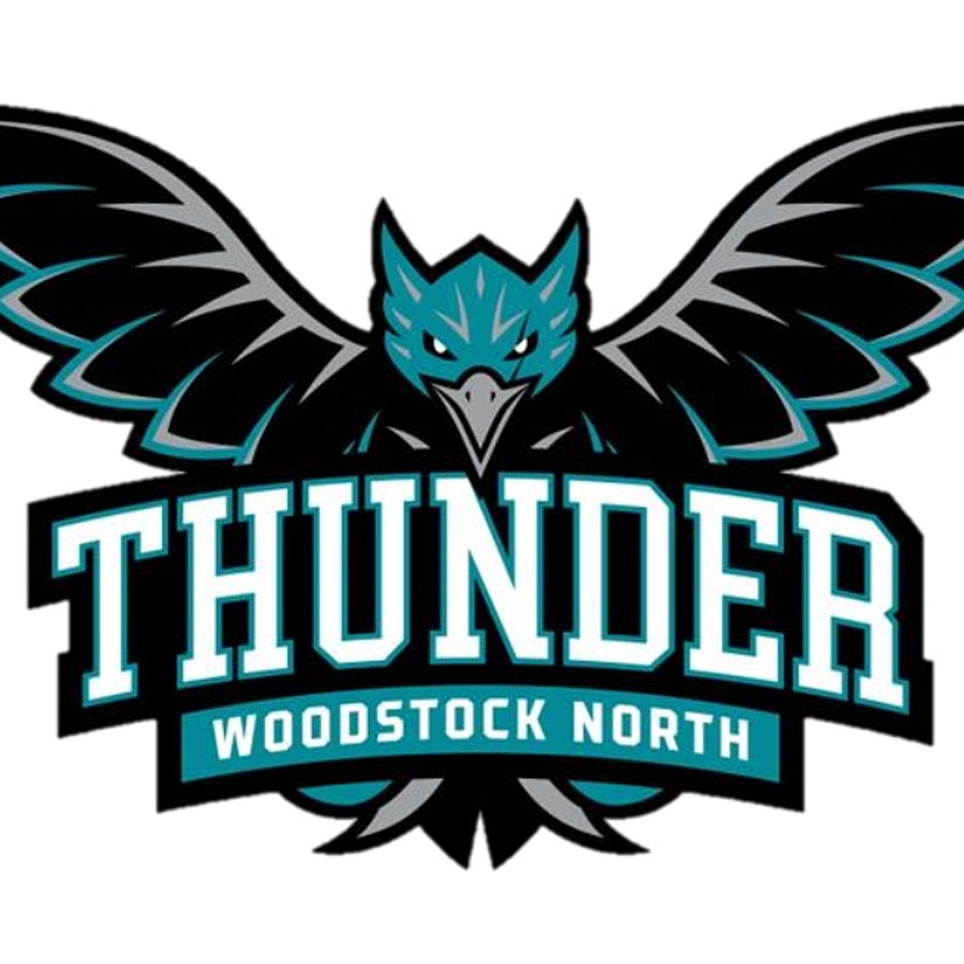Zaiden Vess throws shutout, Woodstock North baseball upsets St. Viator: Wednesday’s Northwest Herald roundup episode artwork