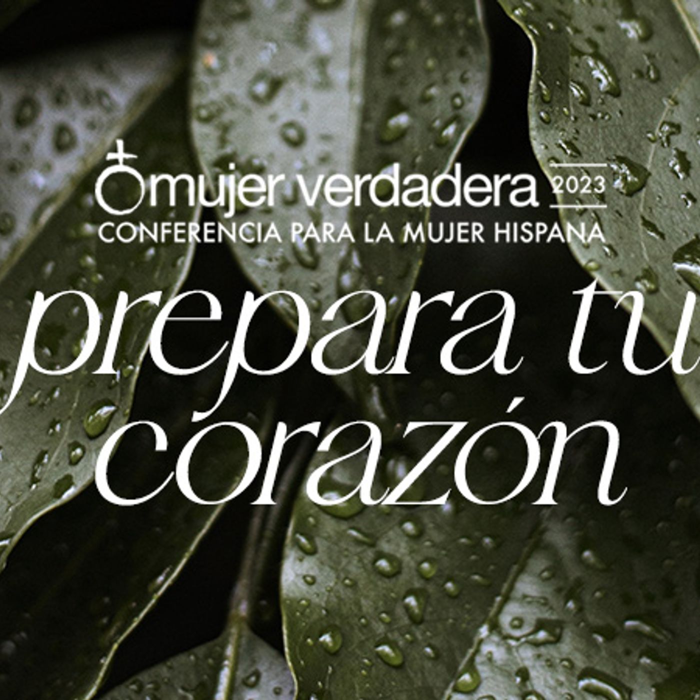 Portada de Mujer Verdadera