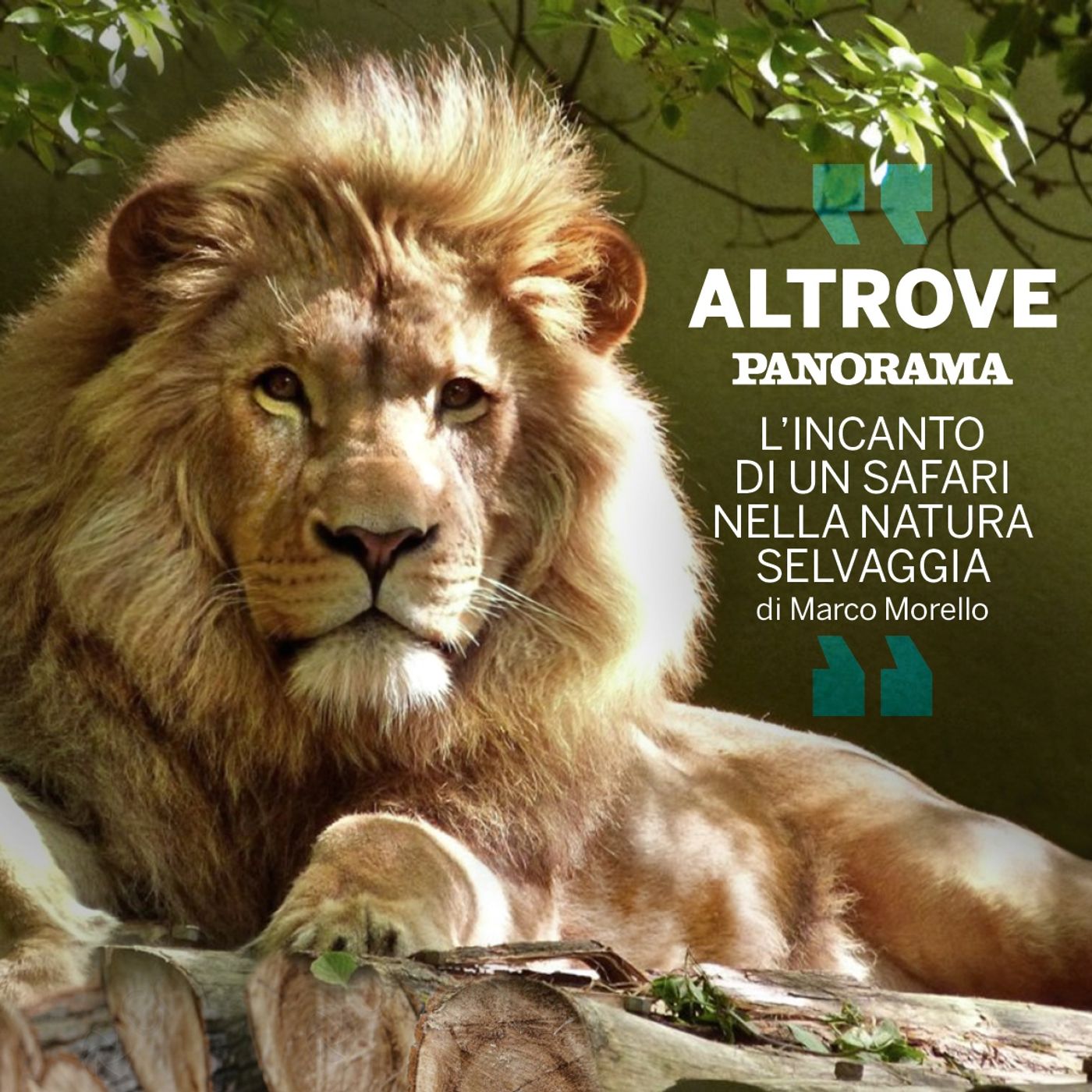 Altrove