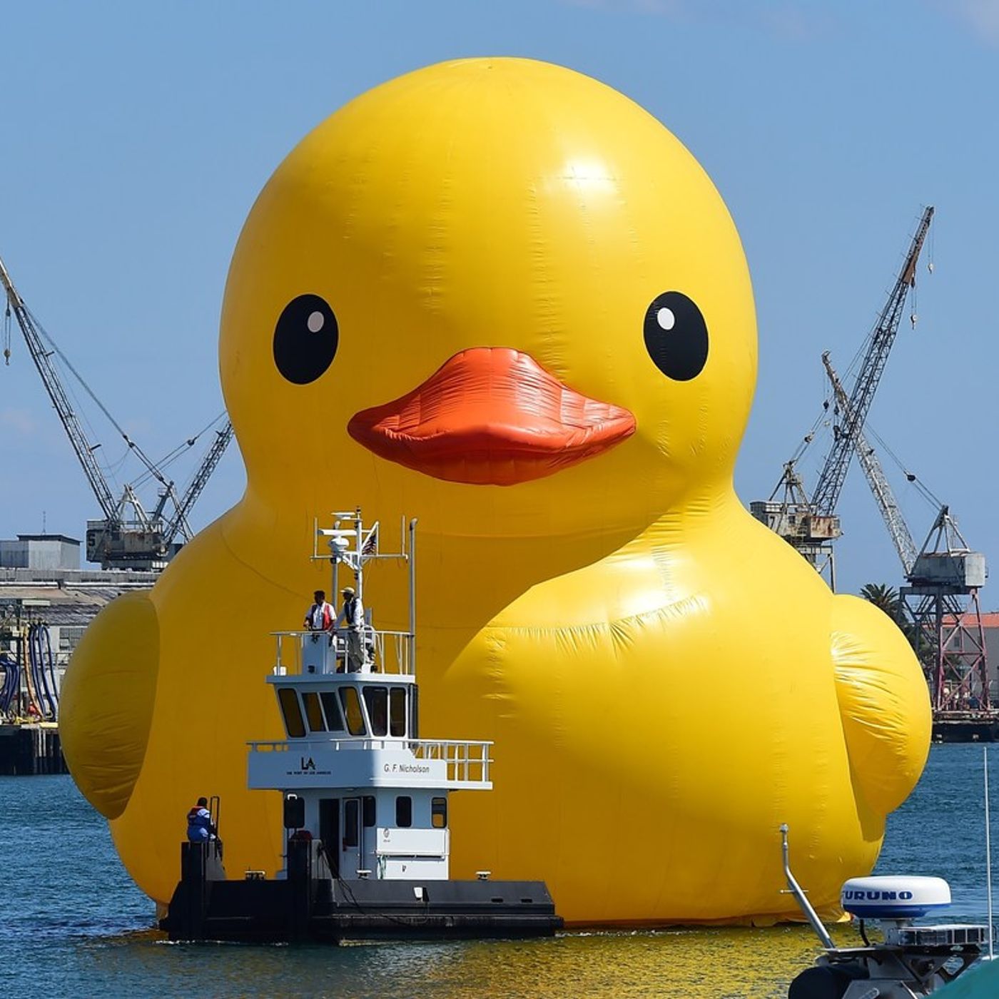 Rubber Duck Outdoors
