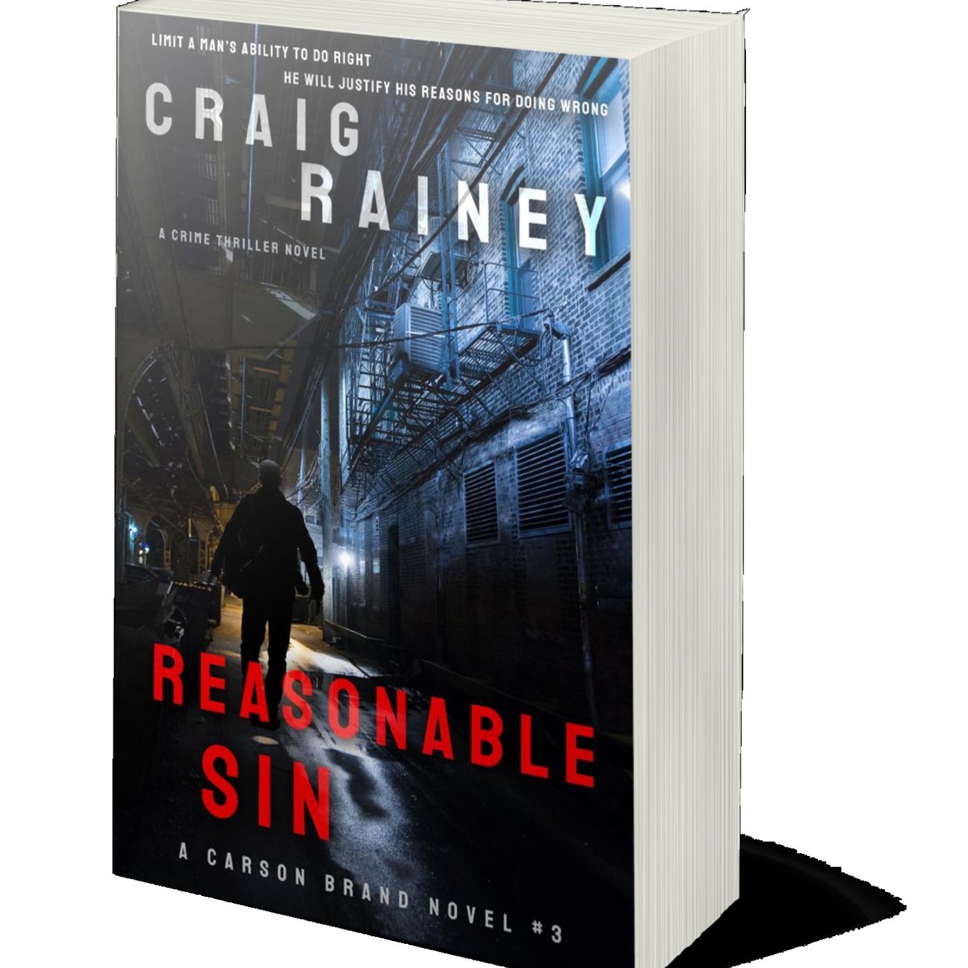 Reasonable Sin - 3rd Book in the Series and I have Plot Block!