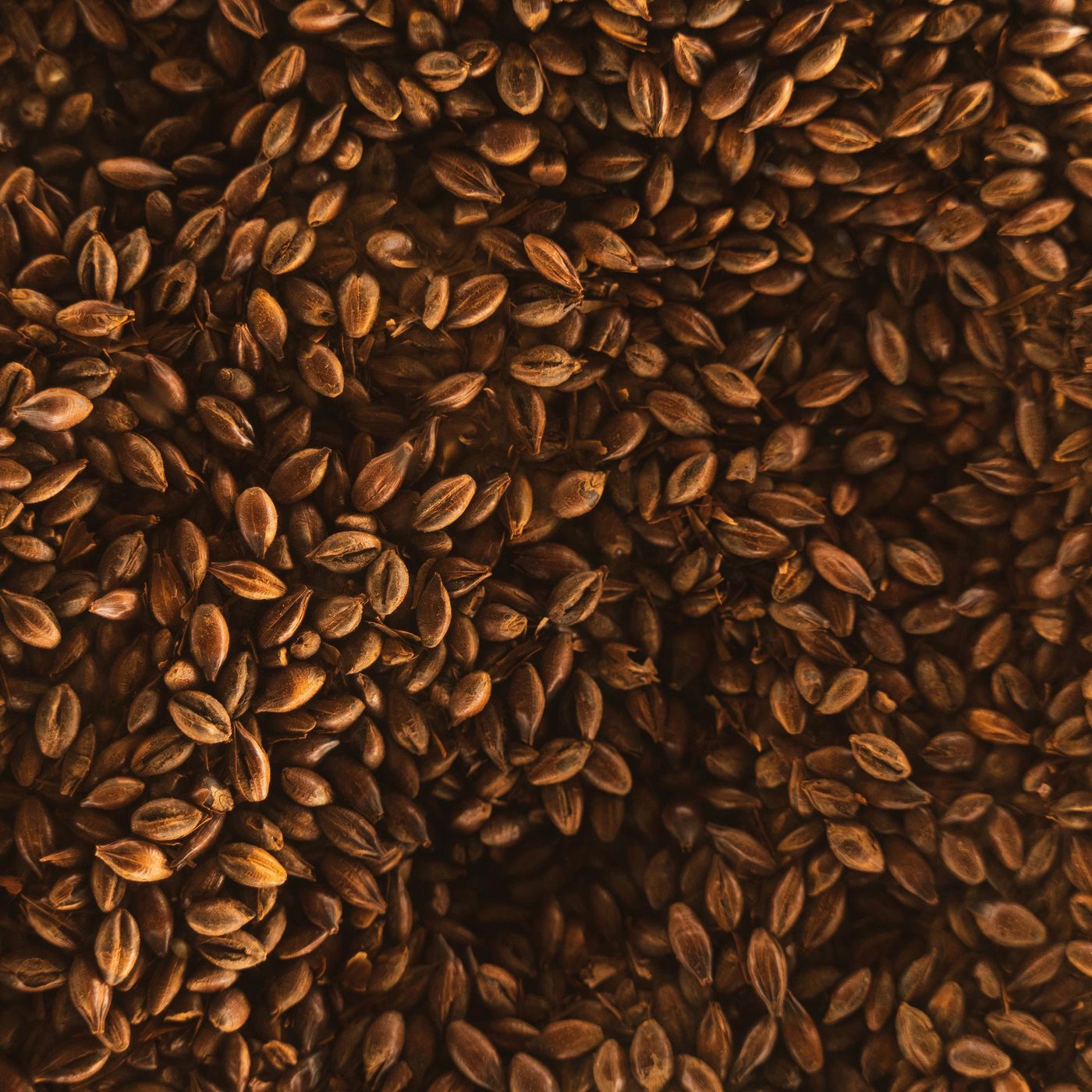 Flaxseed Health Benefits and Preparation of Flaxseed Kissel episode artwork