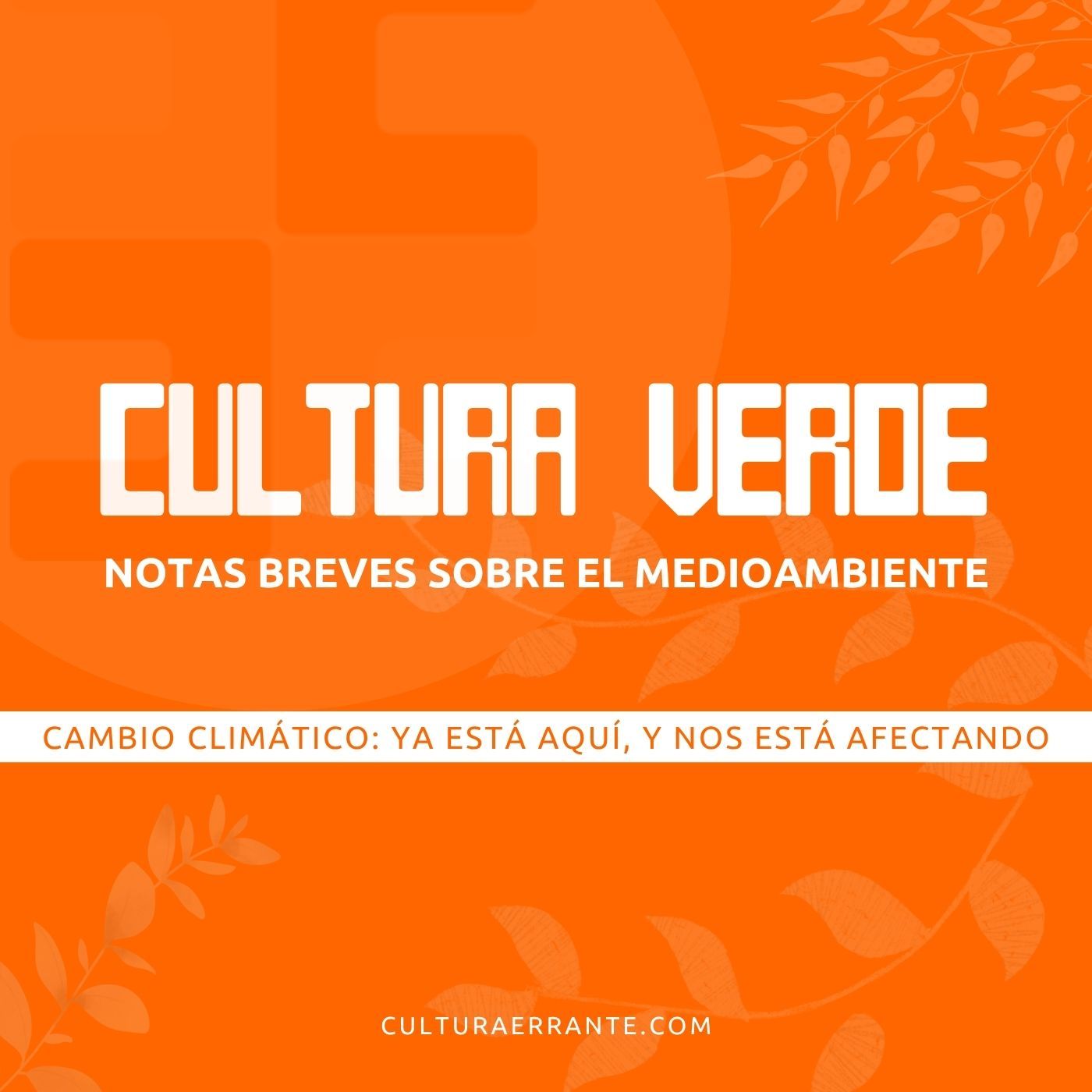 Cultura Errante