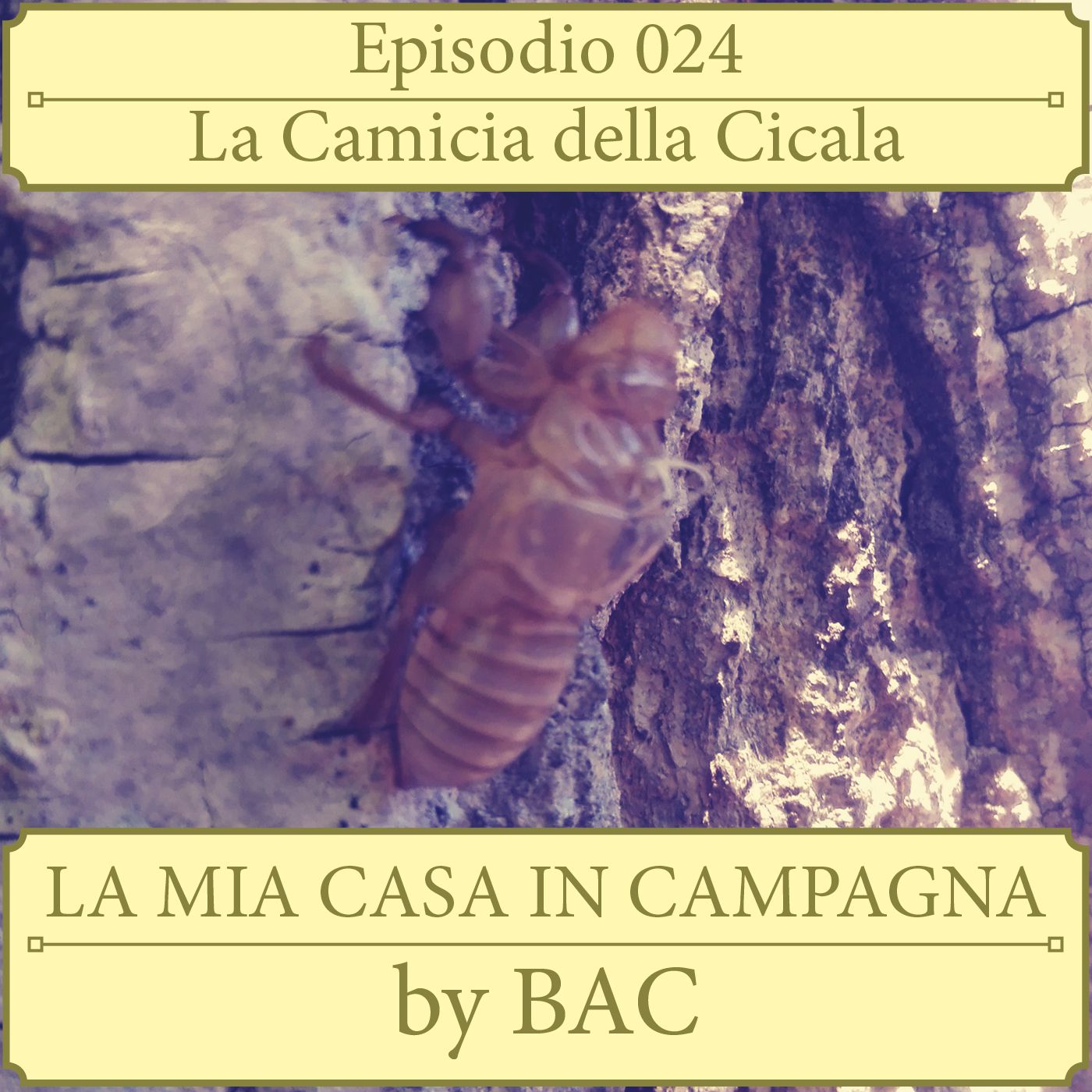 La Mia Casa In Campagna