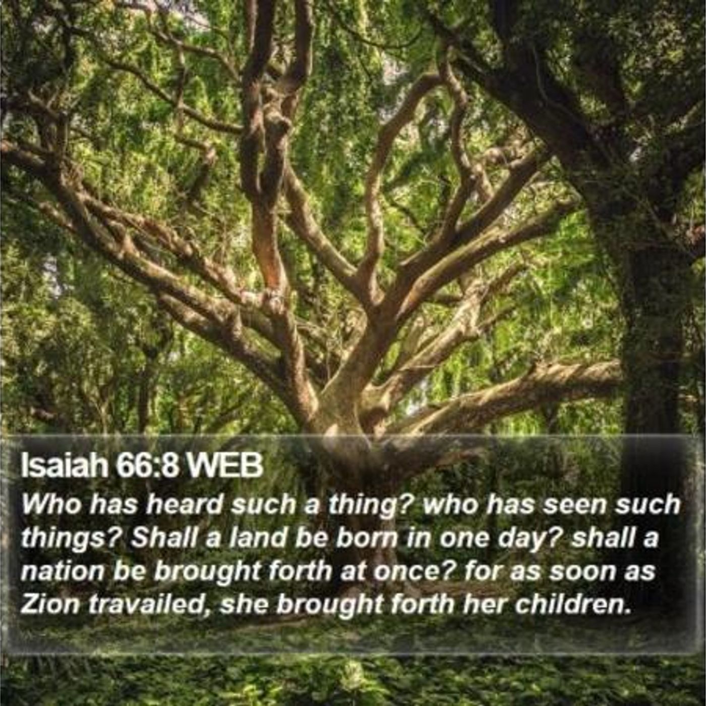 Can A Thousand Member Church Be Established In One Day? (Pt 2) - S21 [B386] episode artwork