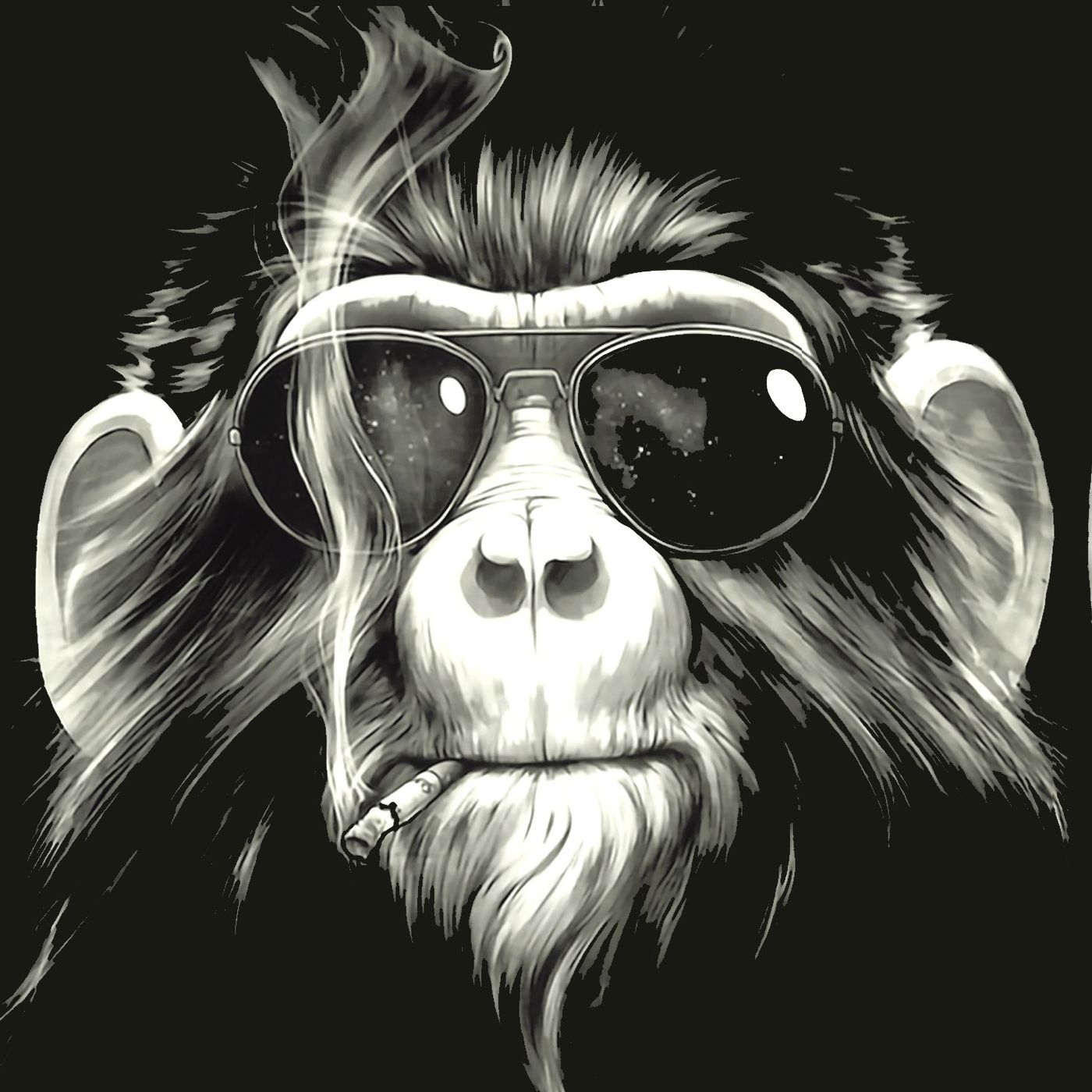 Aporte Primate